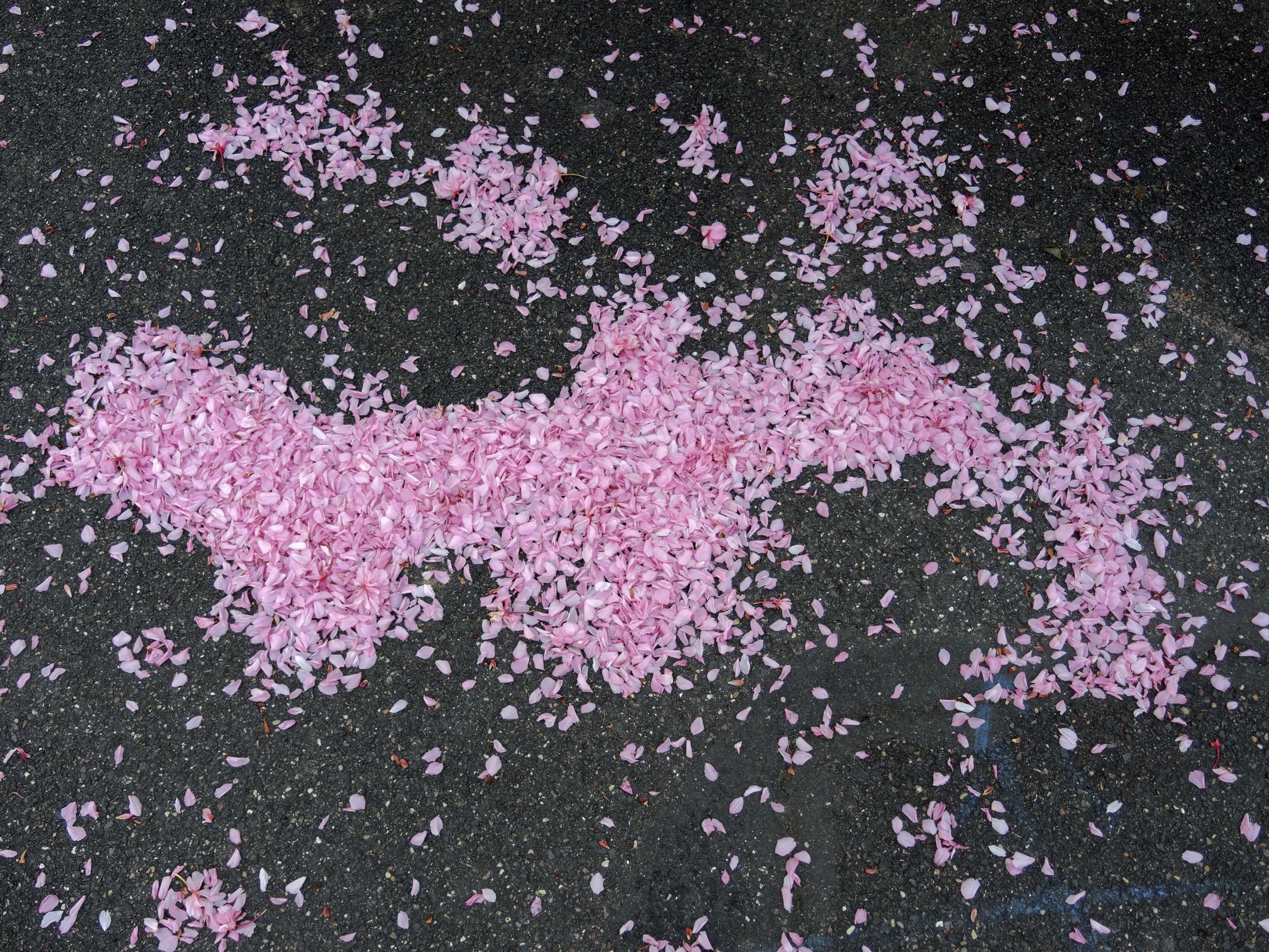 Déambulation dérogatoire Michel Séméniako