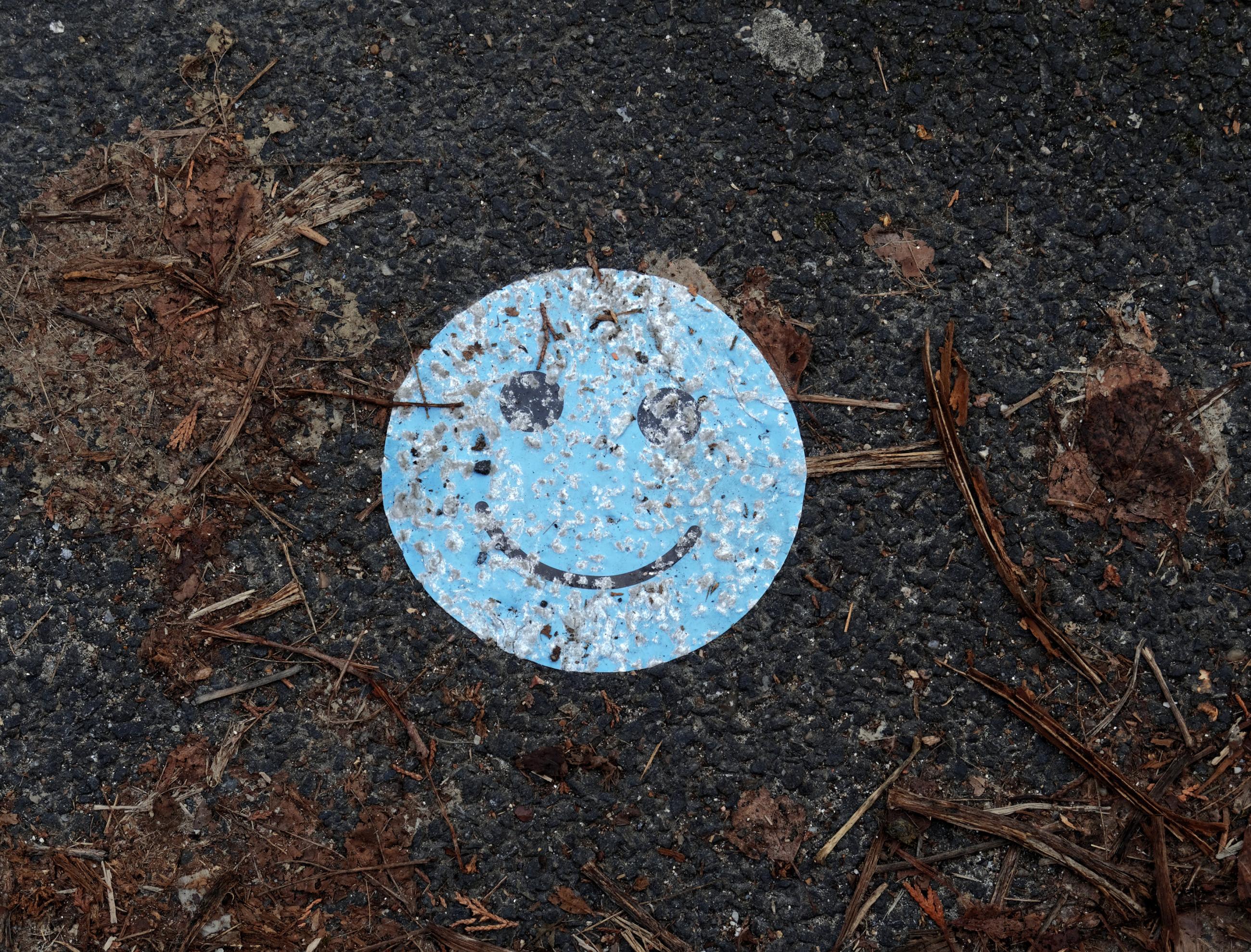 Déambulation dérogatoire Michel Séméniako