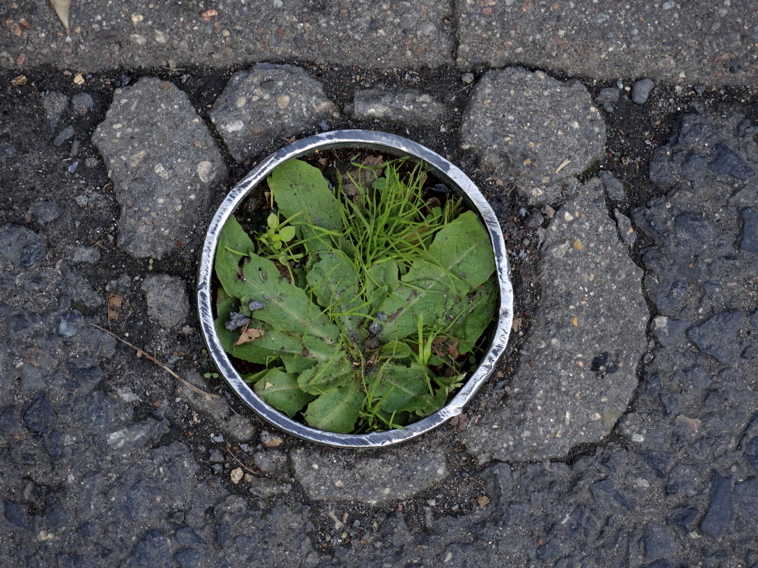 Déambulation dérogatoire Michel Séméniako