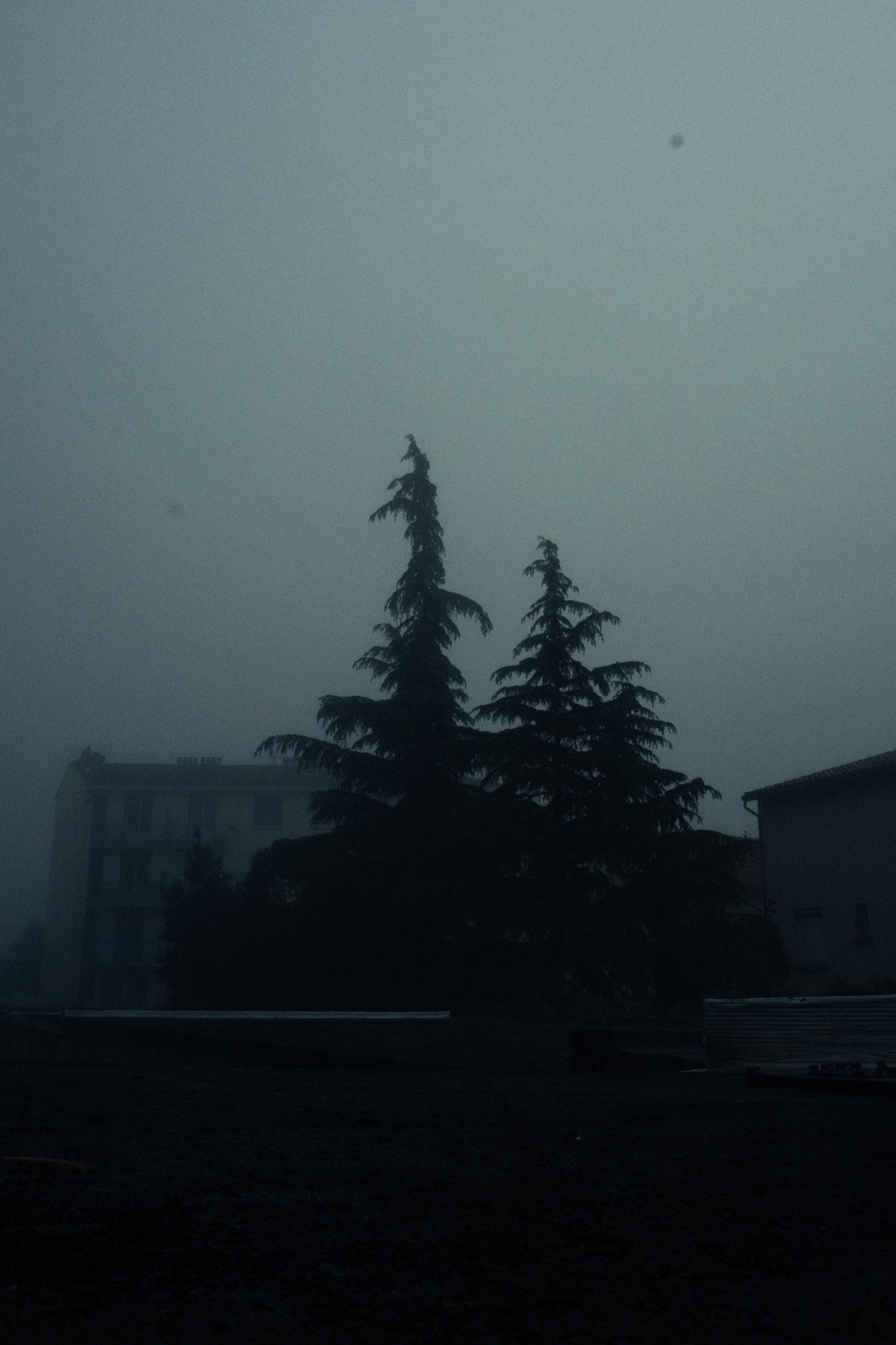 Les jours suivants Arno Brignon