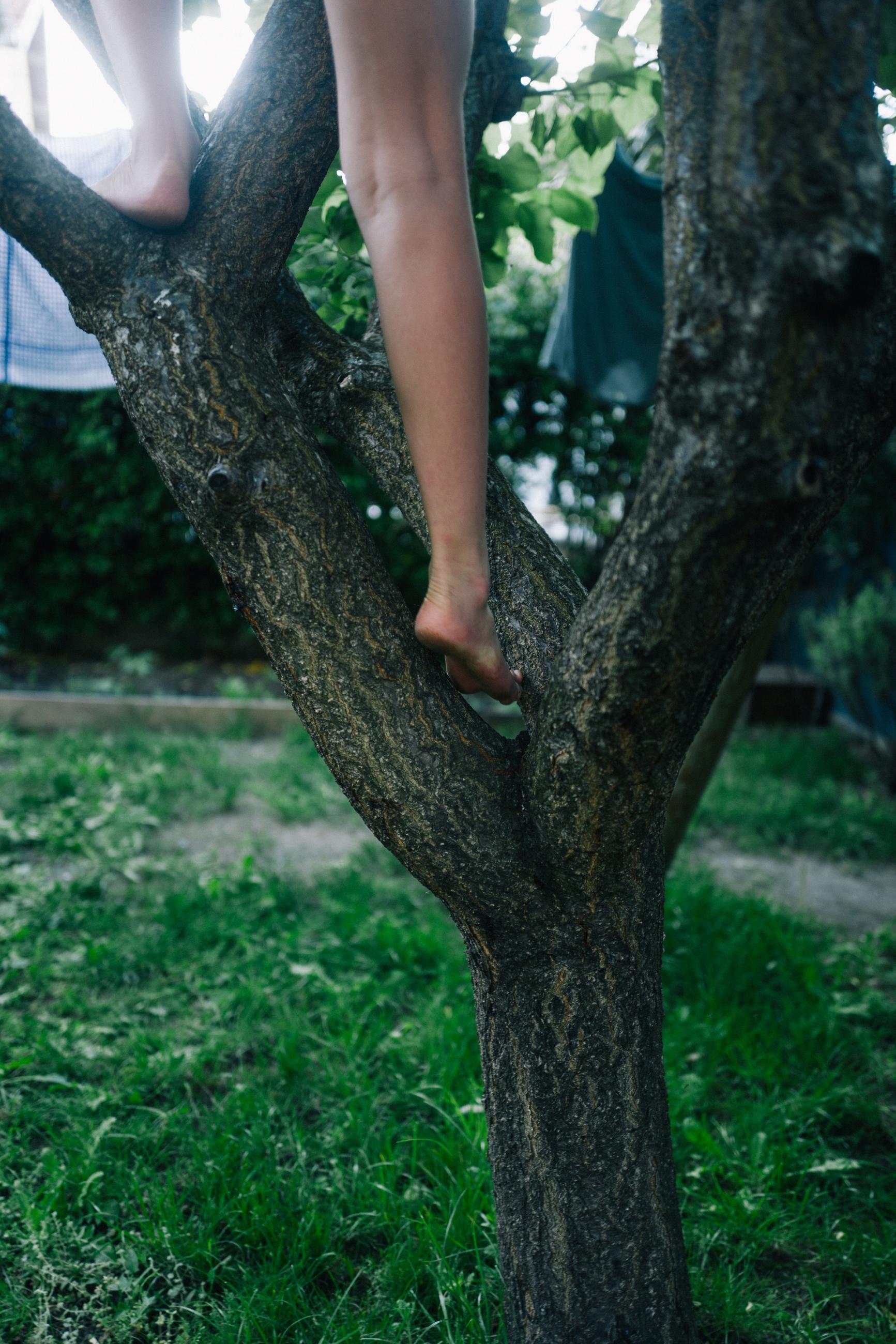 Les jours suivants Arno Brignon