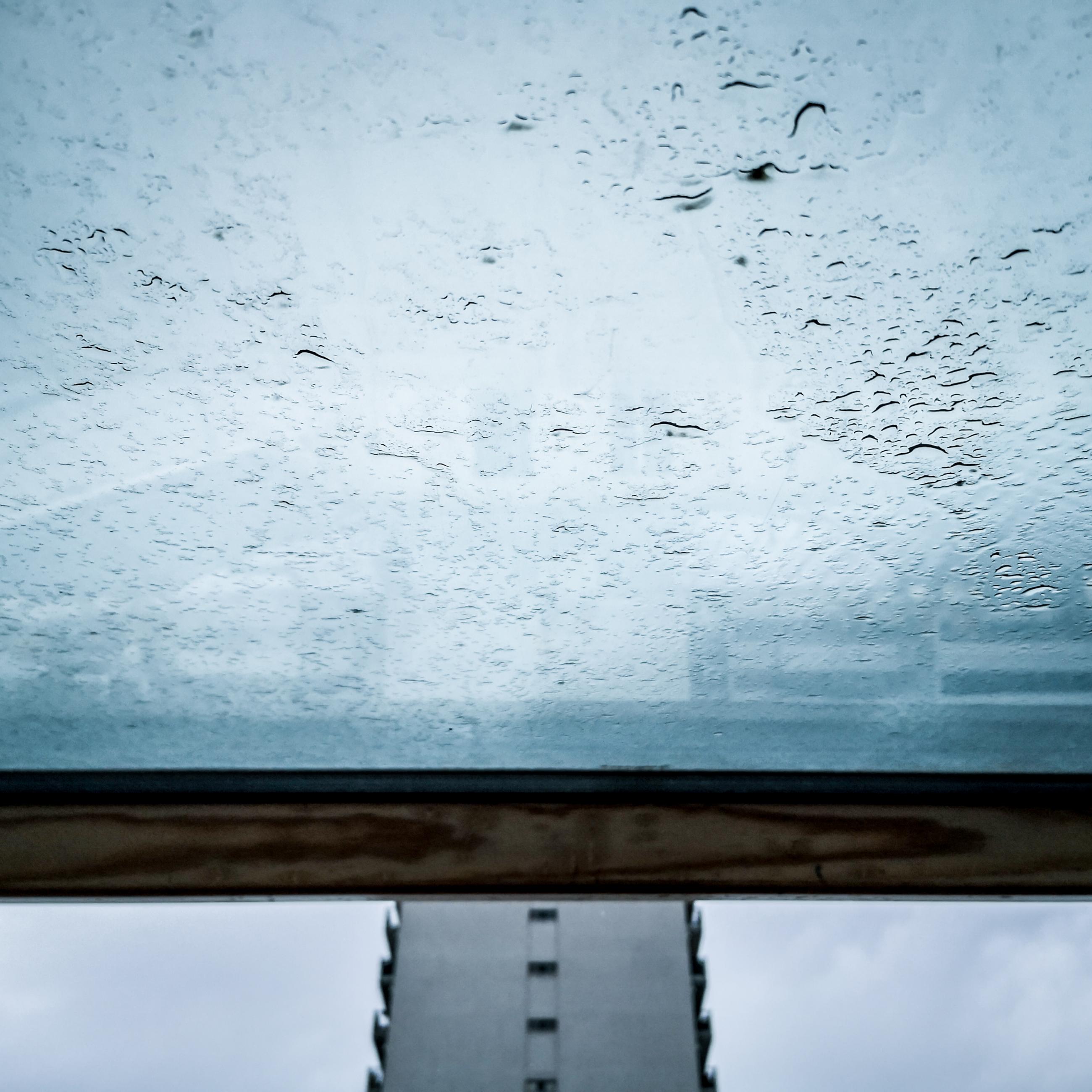 vas is das Florence Levillain