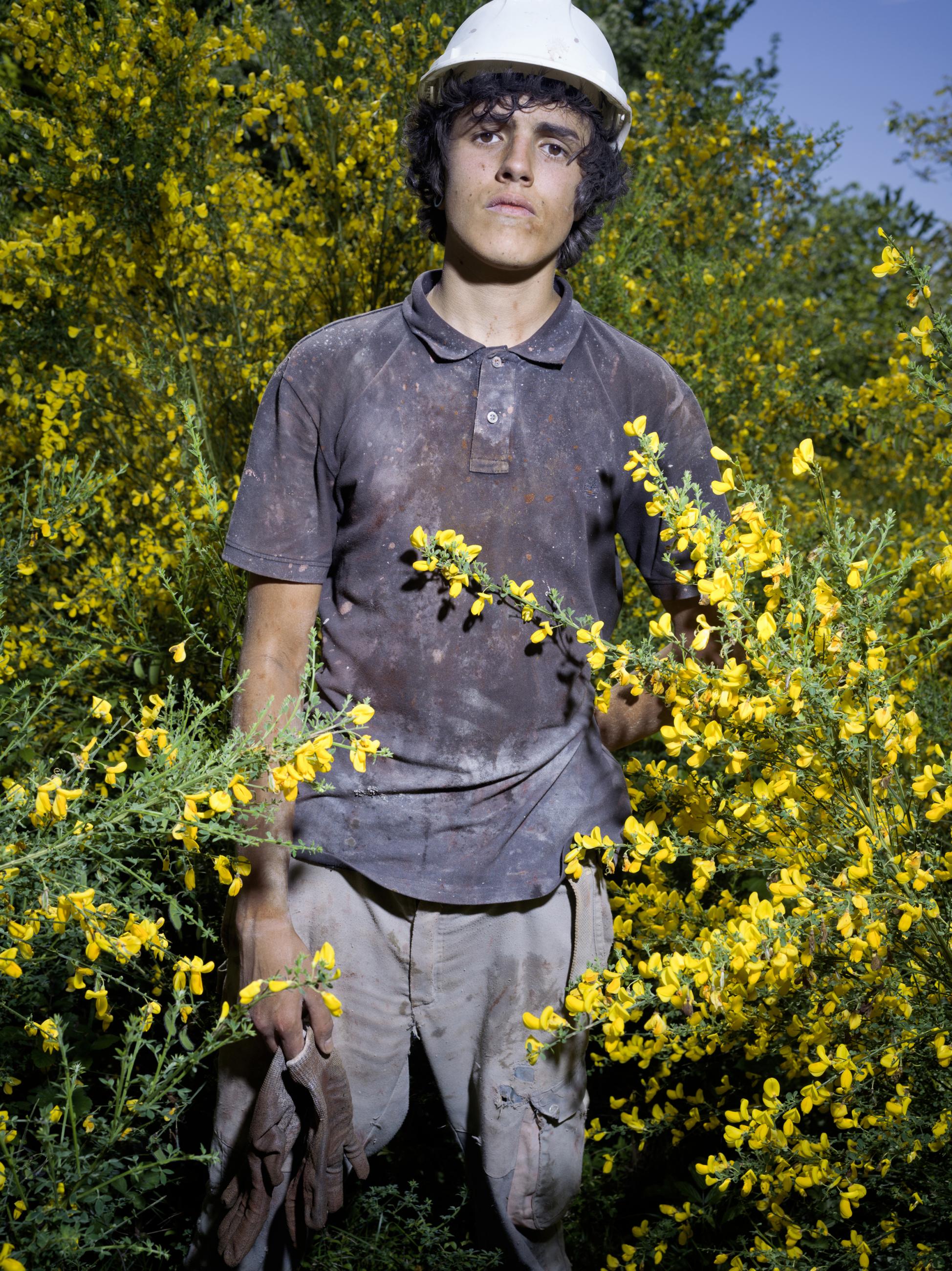 Les genêts Laurent Monlaü