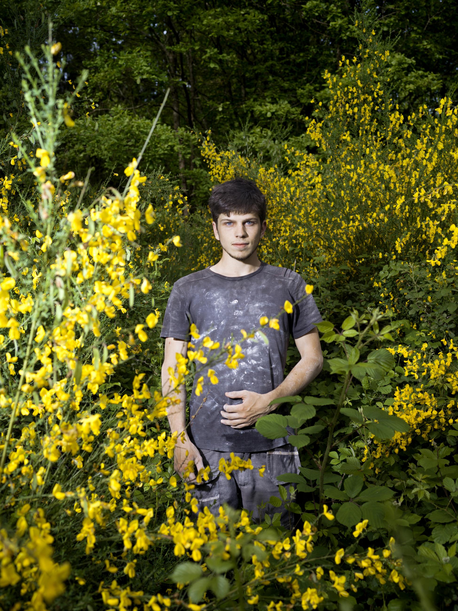 Les genêts Laurent Monlaü