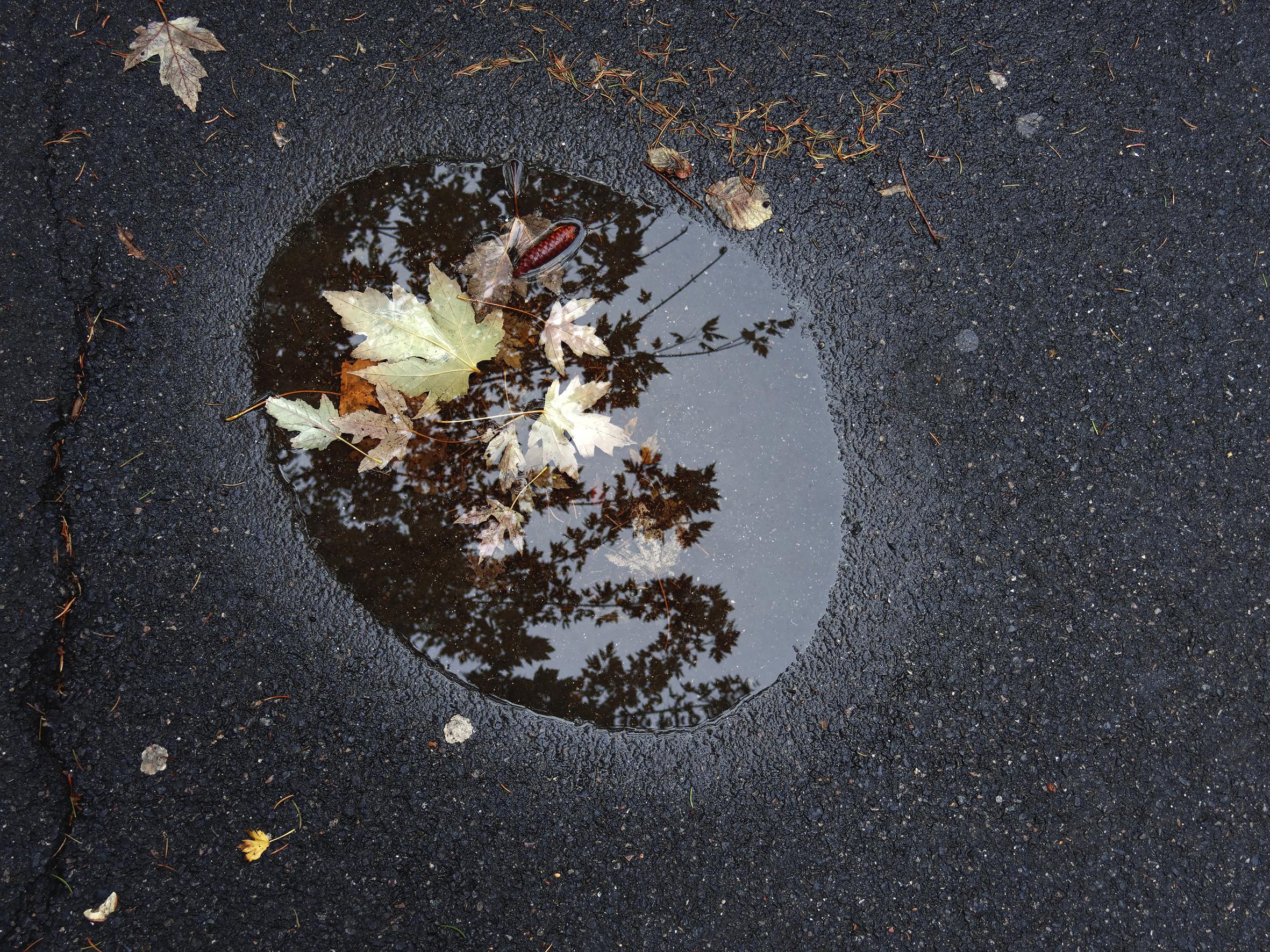 Déambulation dérogatoire Michel Séméniako