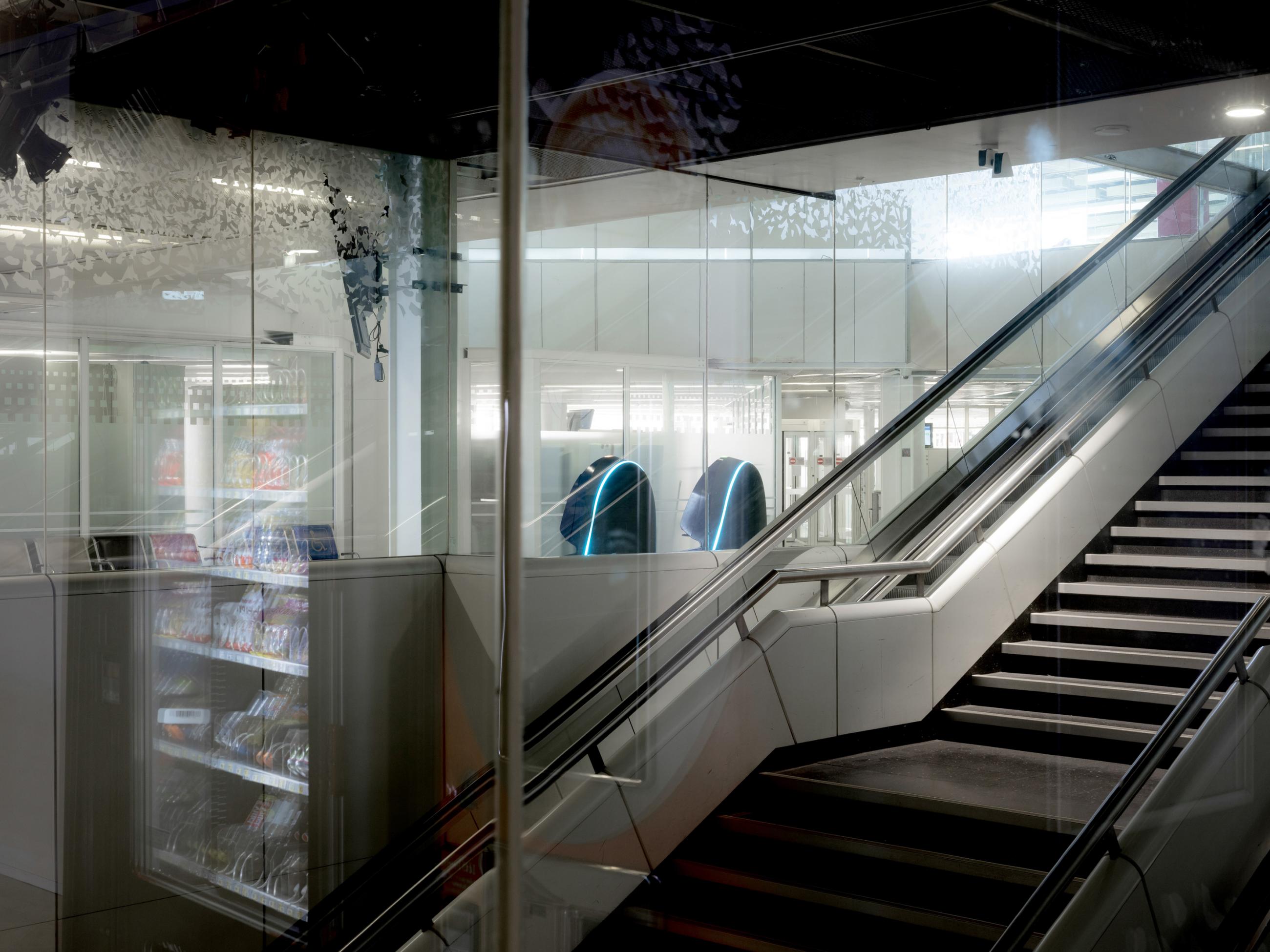 Cloué au sol Sophie Brändström