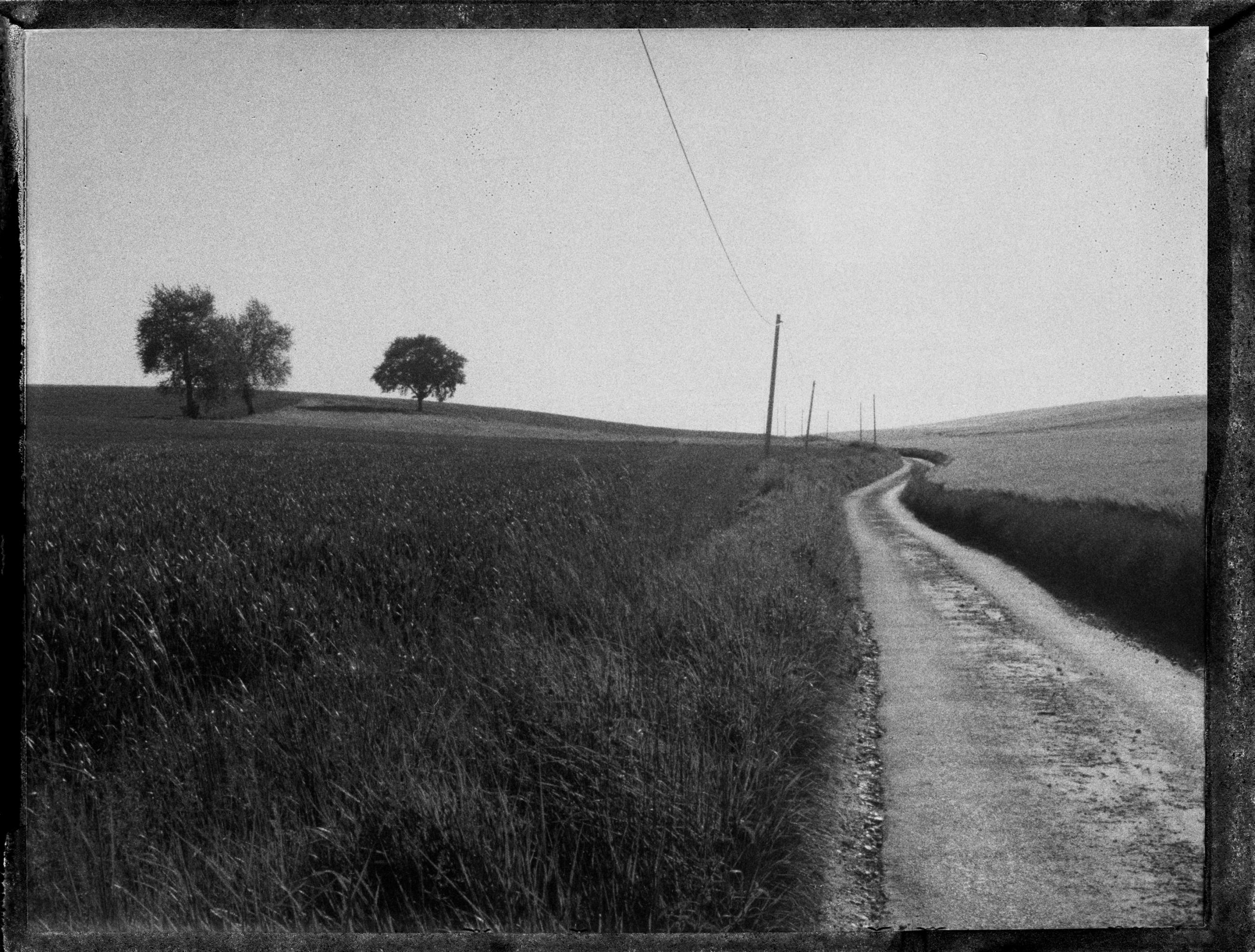 A vol d'oiseau Sophie Brändström