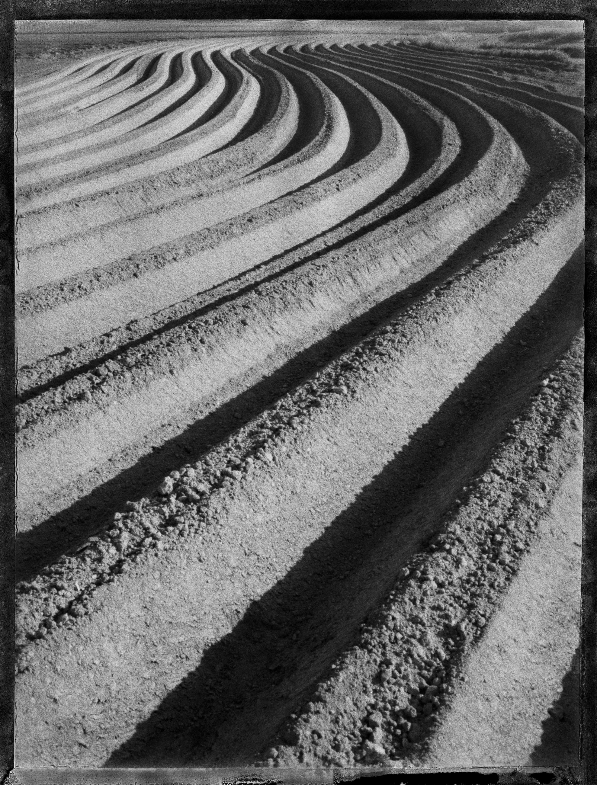 A vol d'oiseau Sophie Brändström