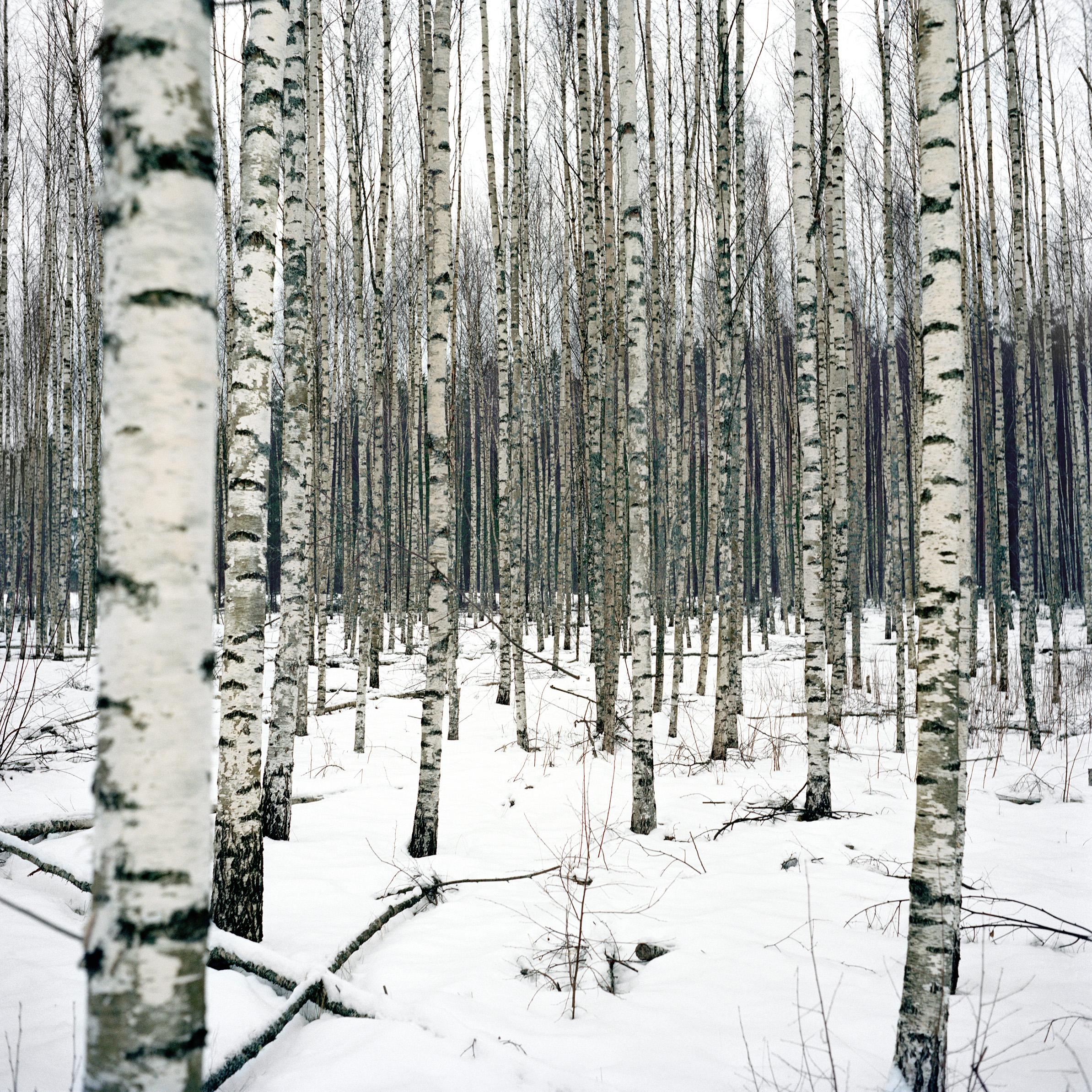 Jeremie Jung - Au large du temps, Setomaa, Estonie