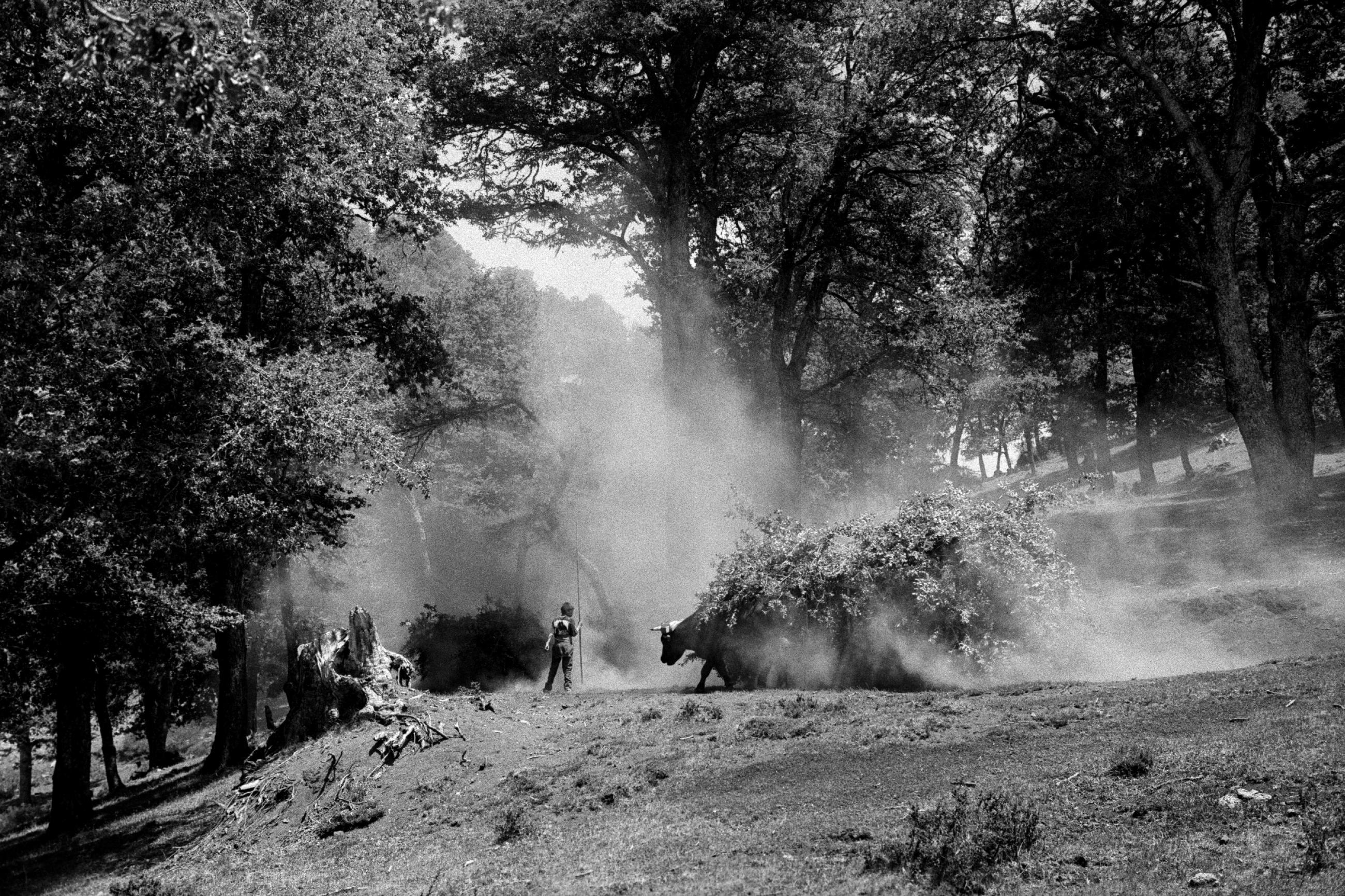Chile, Dias Abiertos, le bout du voyage Eric Facon