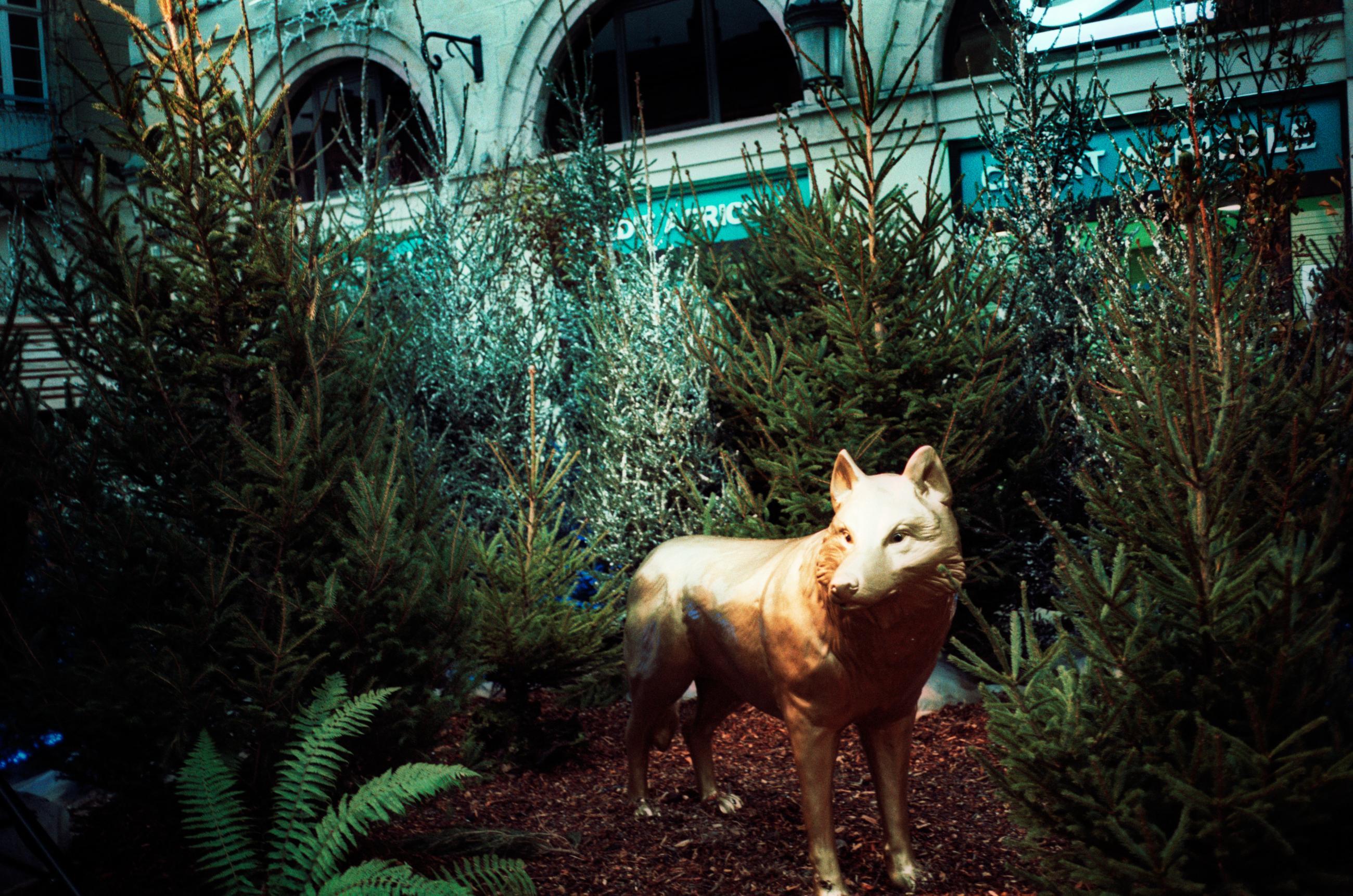 Joséphine - Arno Brignon