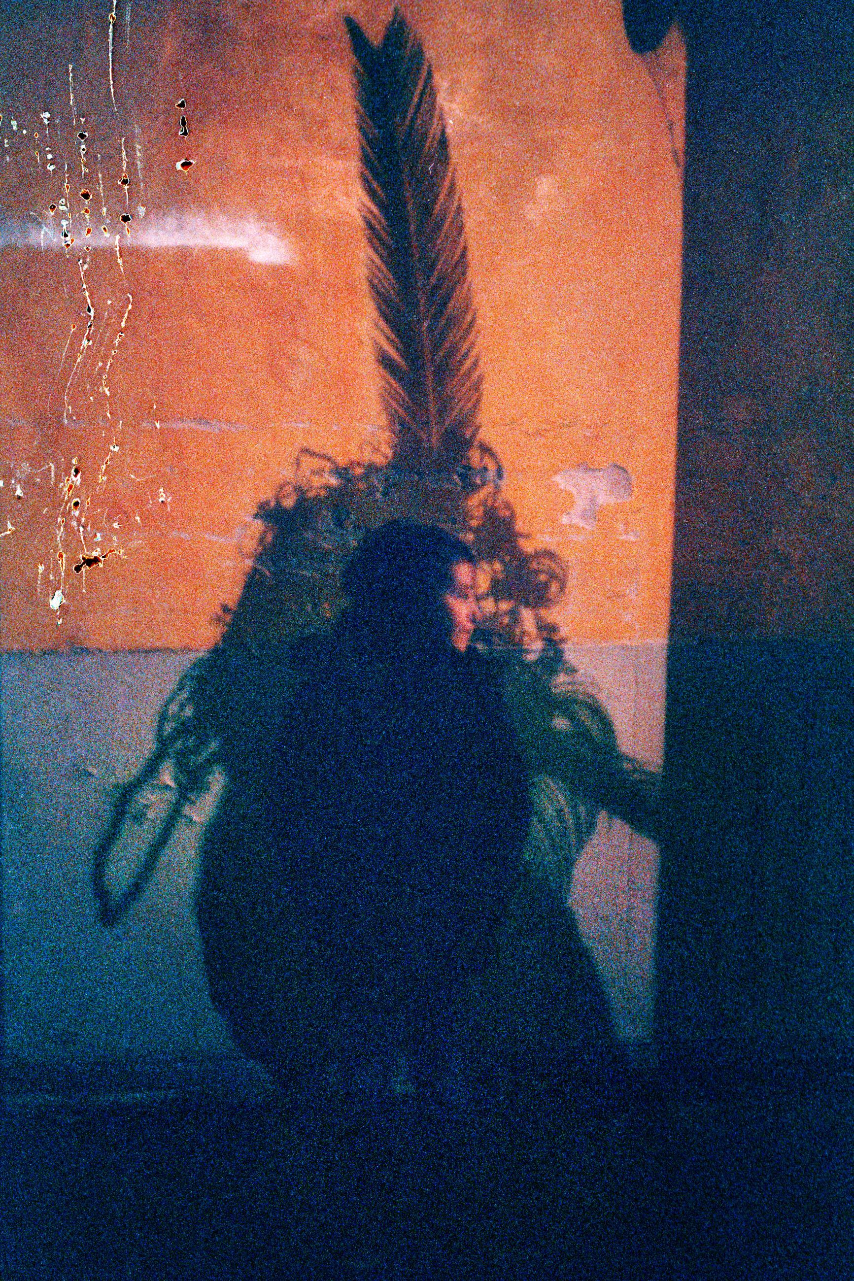 Joséphine - Arno Brignon