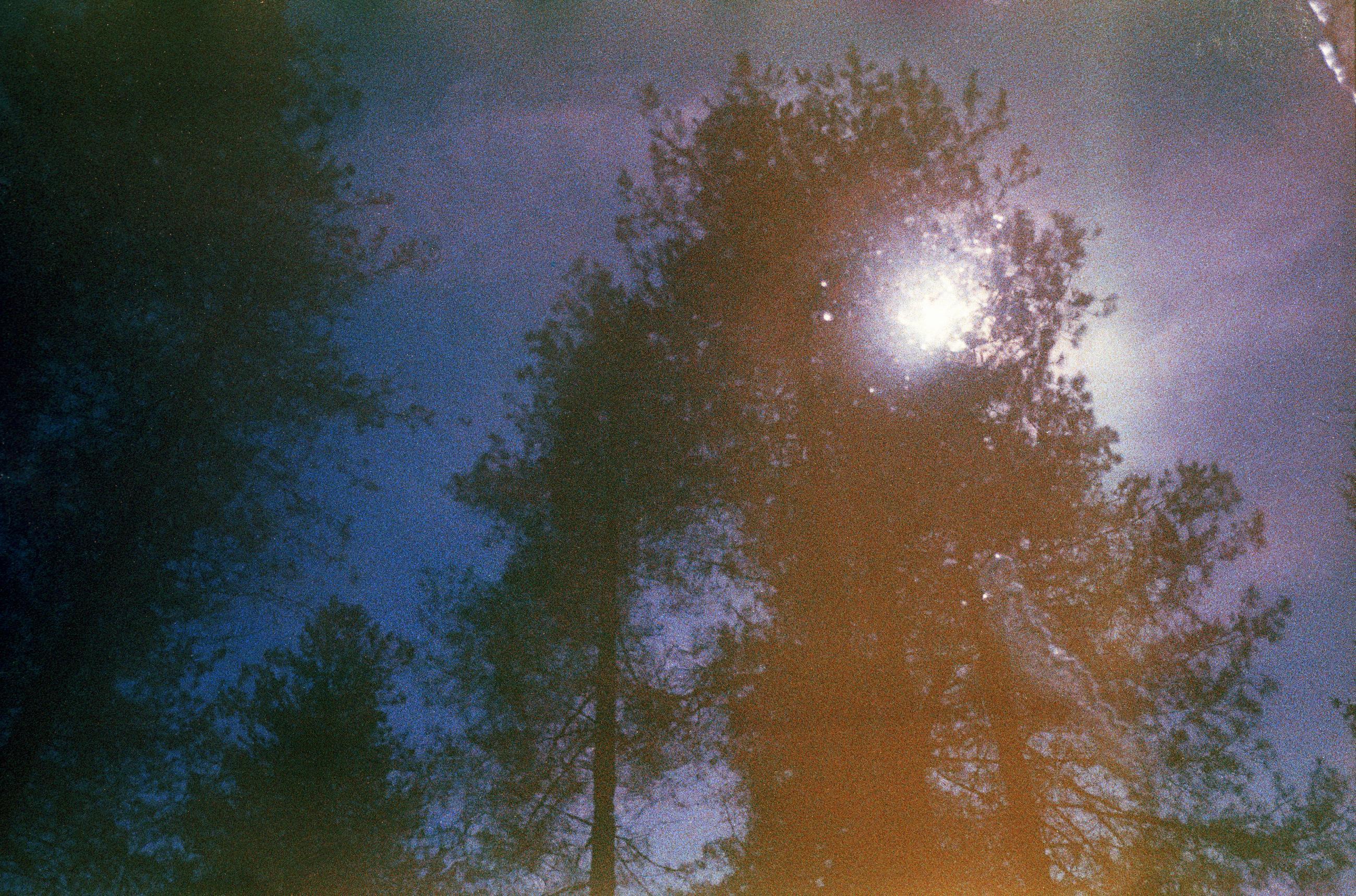 Joséphine - Arno Brignon