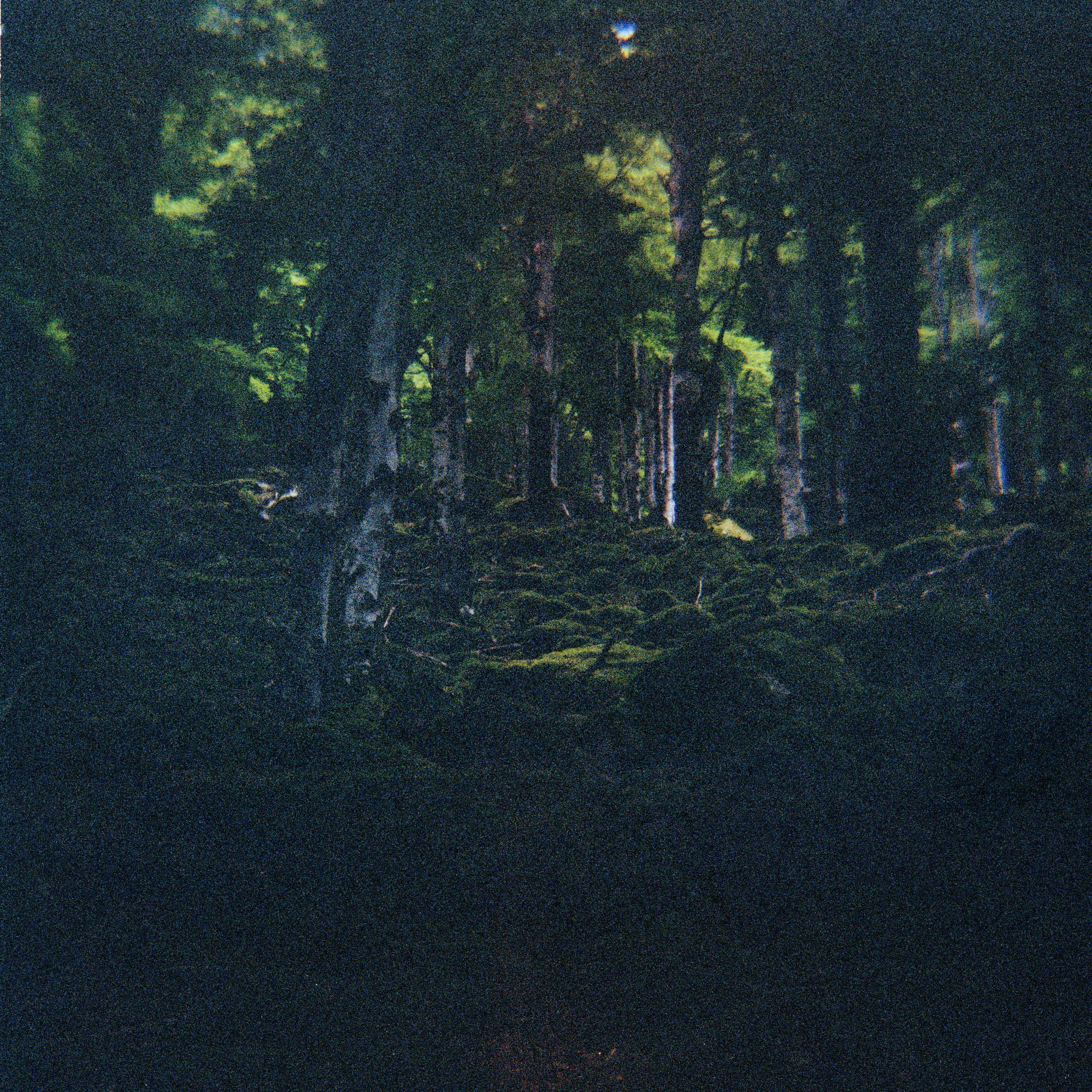 Based on a true story - Arno Brignon