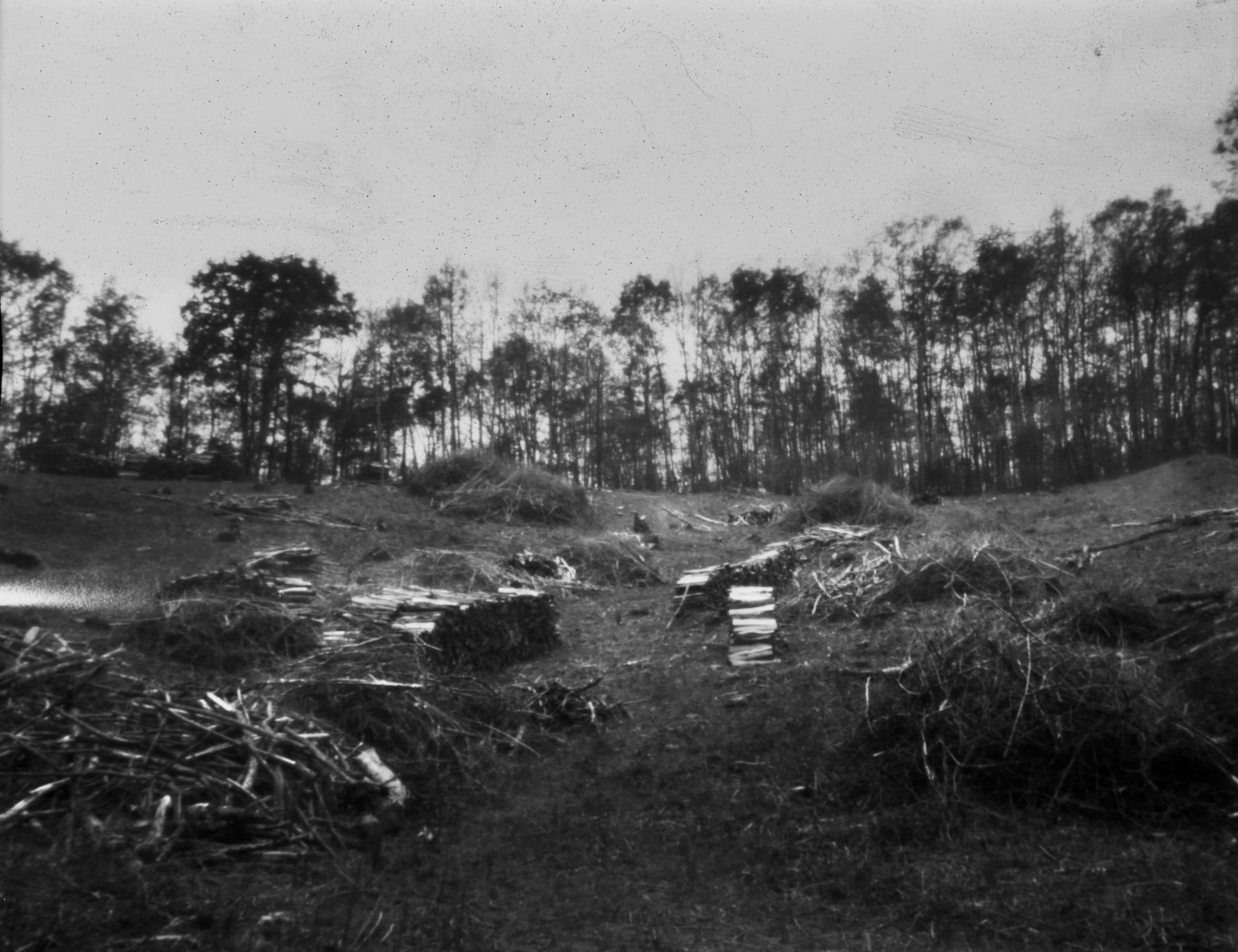 Based on a true story - Arno Brignon