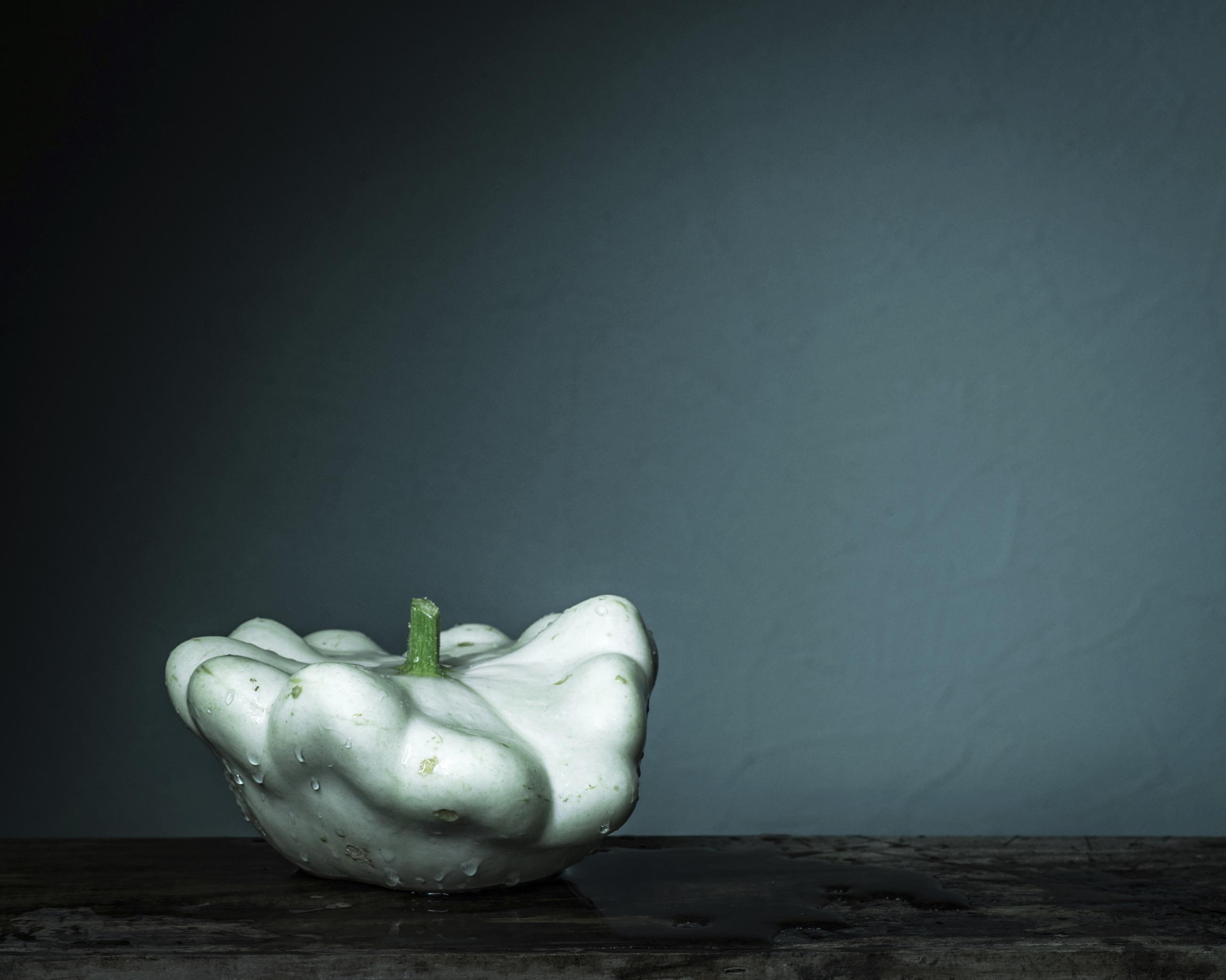 Still Life Joanna Tarlet Gauteur