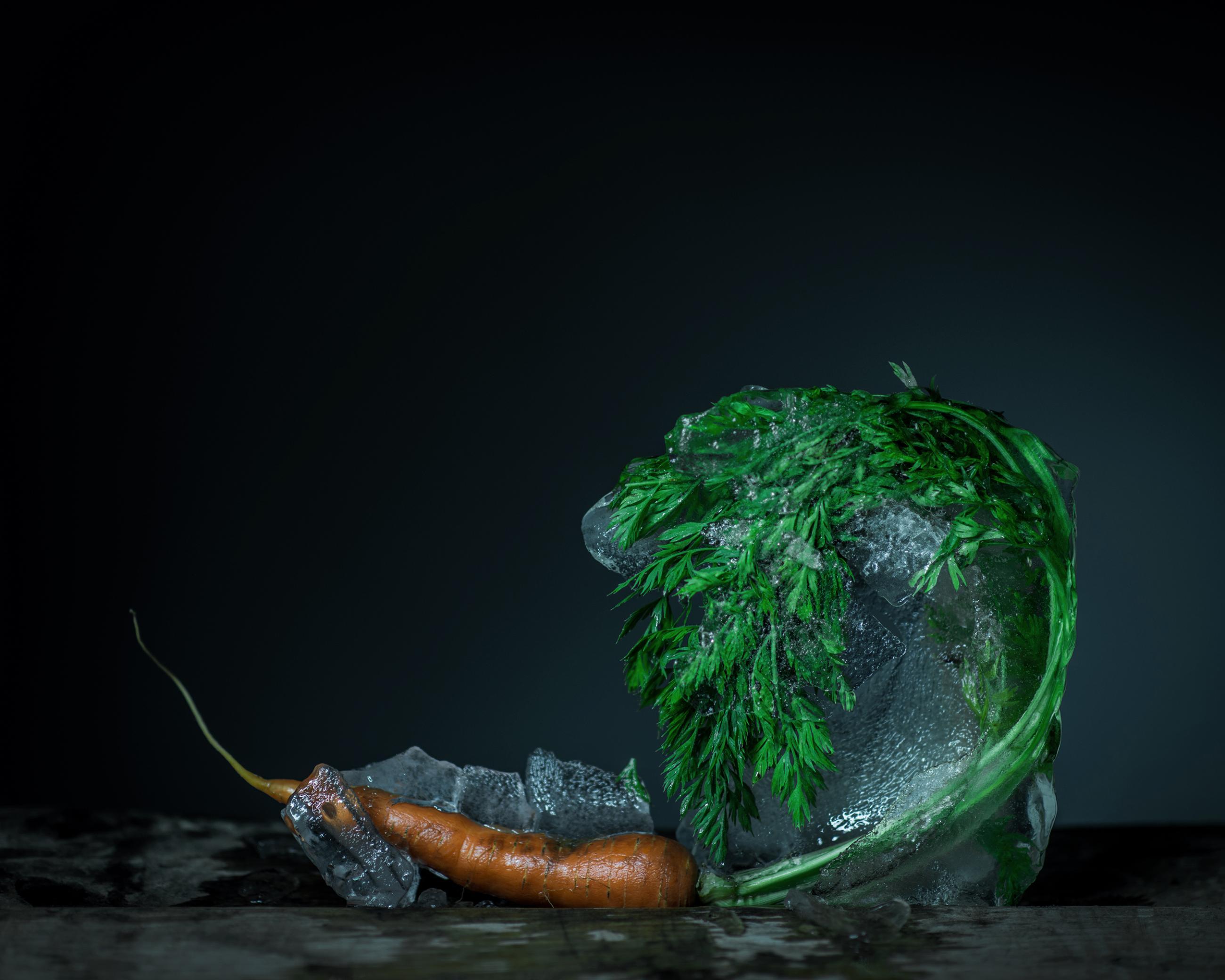 Still Life Joanna Tarlet Gauteur