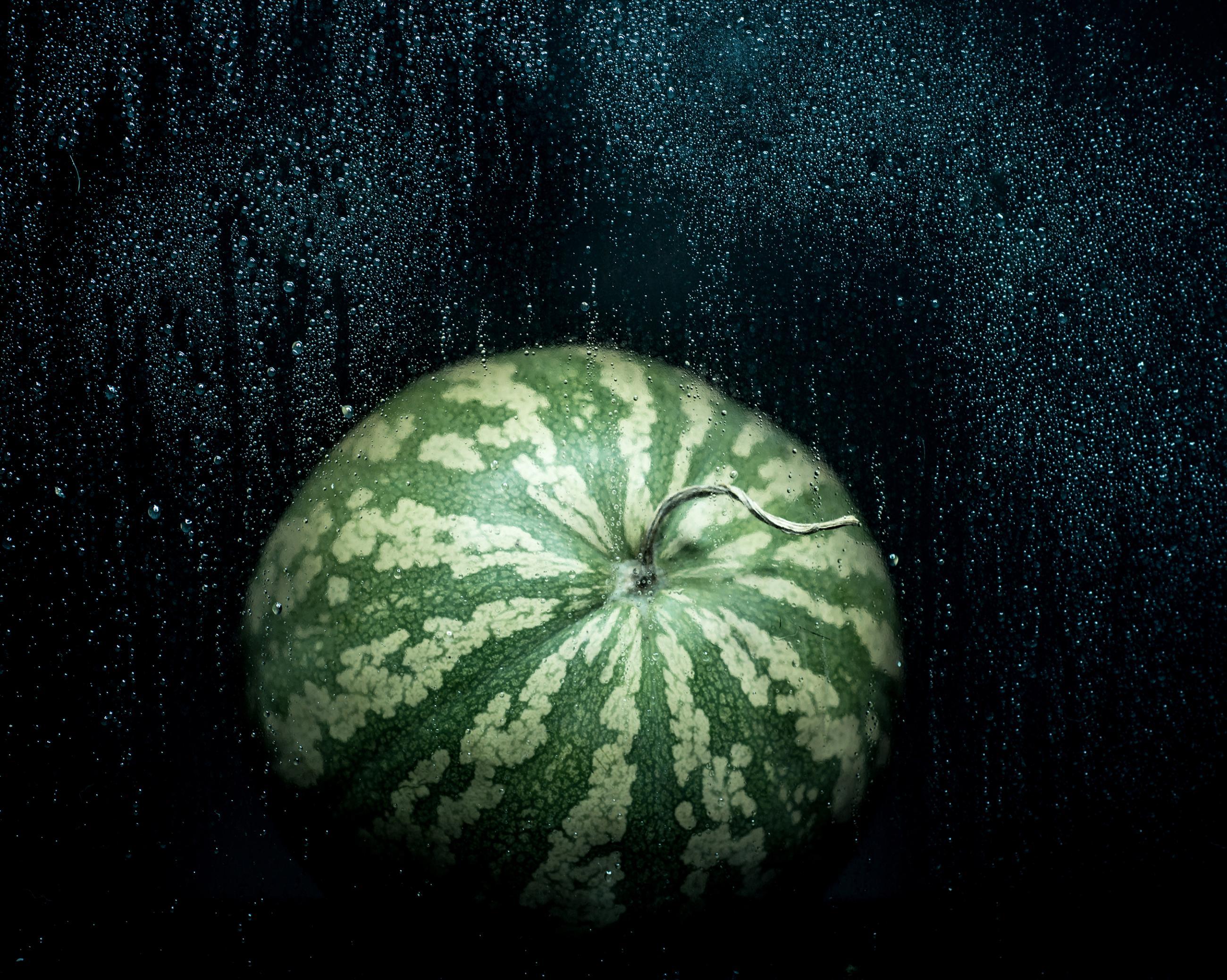 Still Life Joanna Tarlet Gauteur