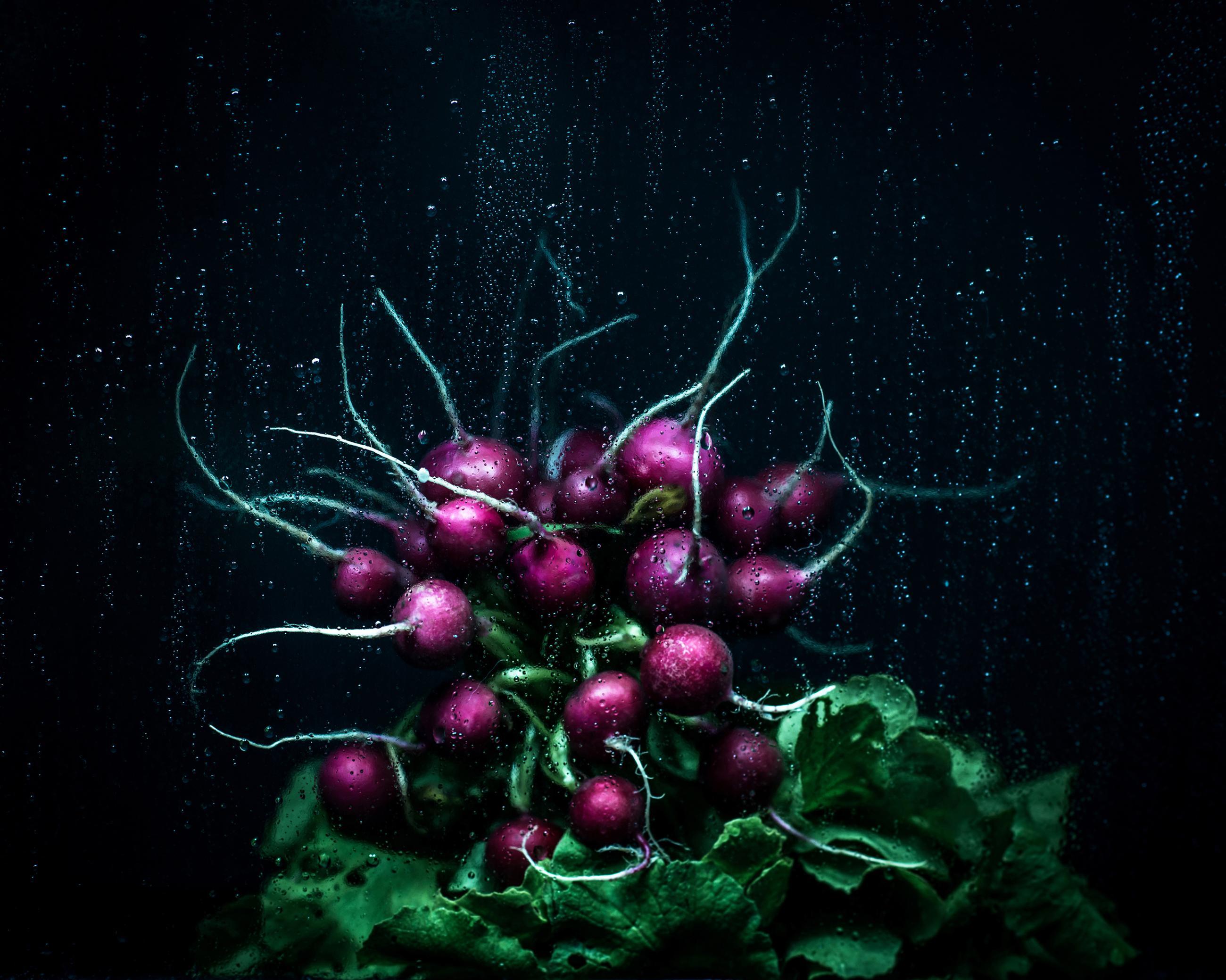 Still Life Joanna Tarlet Gauteur