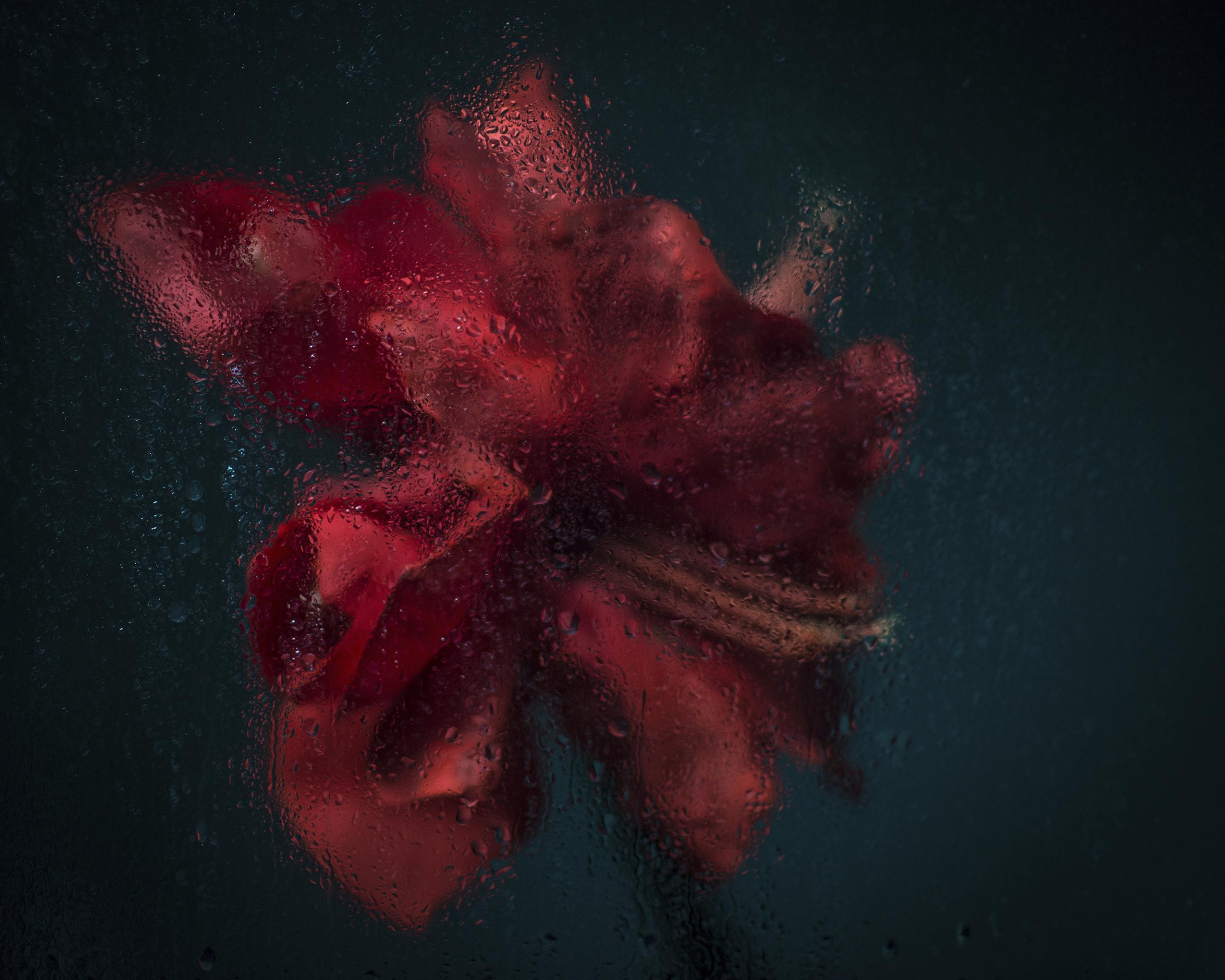 Rainy Day Joanna Tarlet Gauteur