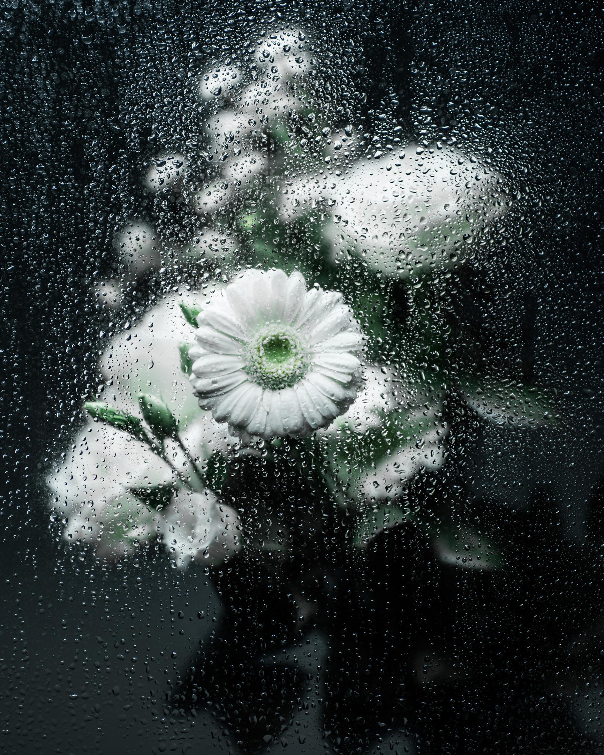 Rainy Day Joanna Tarlet Gauteur