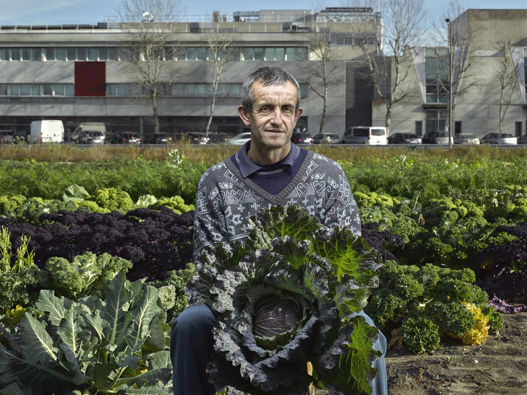 Goût de la terre Thierry Borredon
