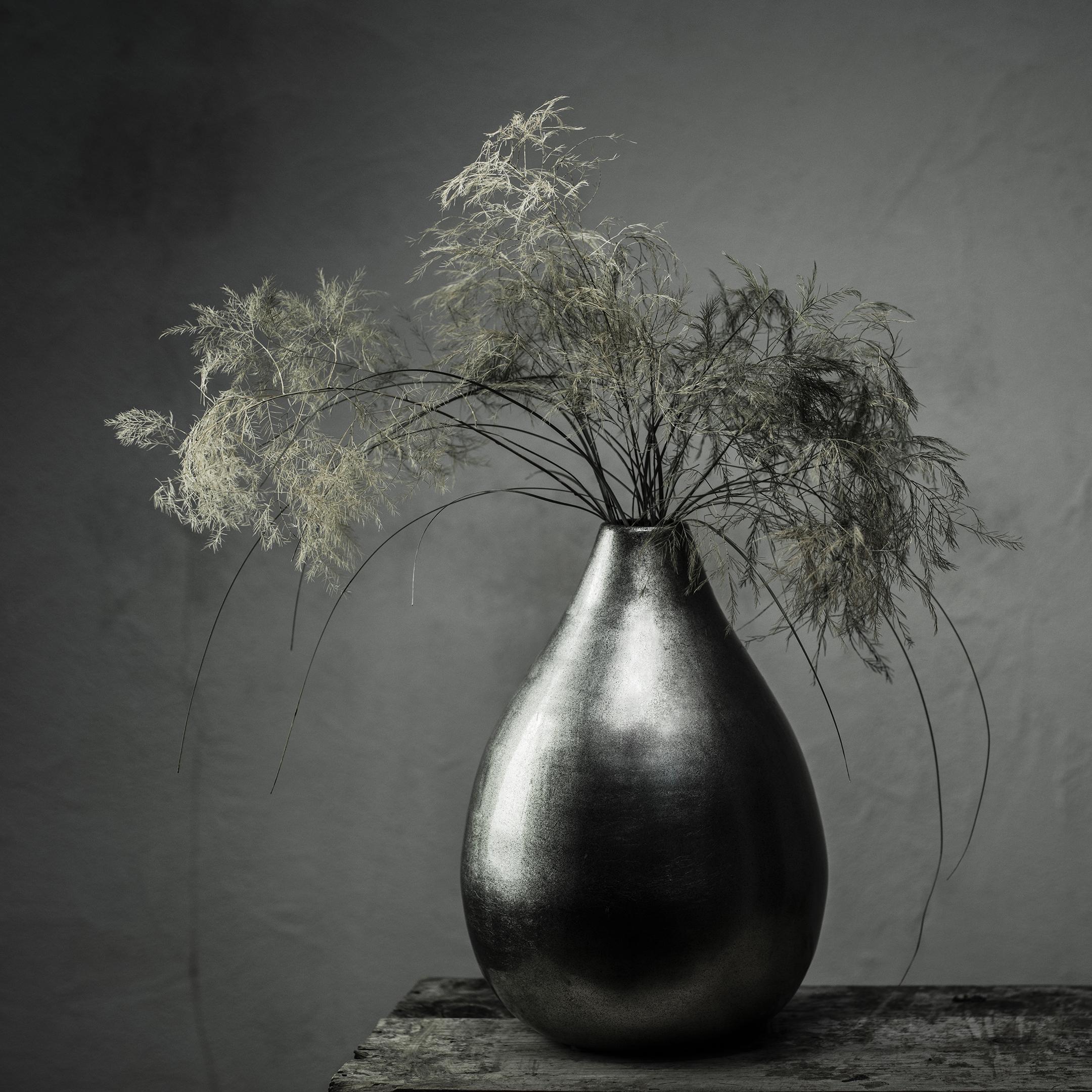 Still Life Joanna Tarlet Gauteur