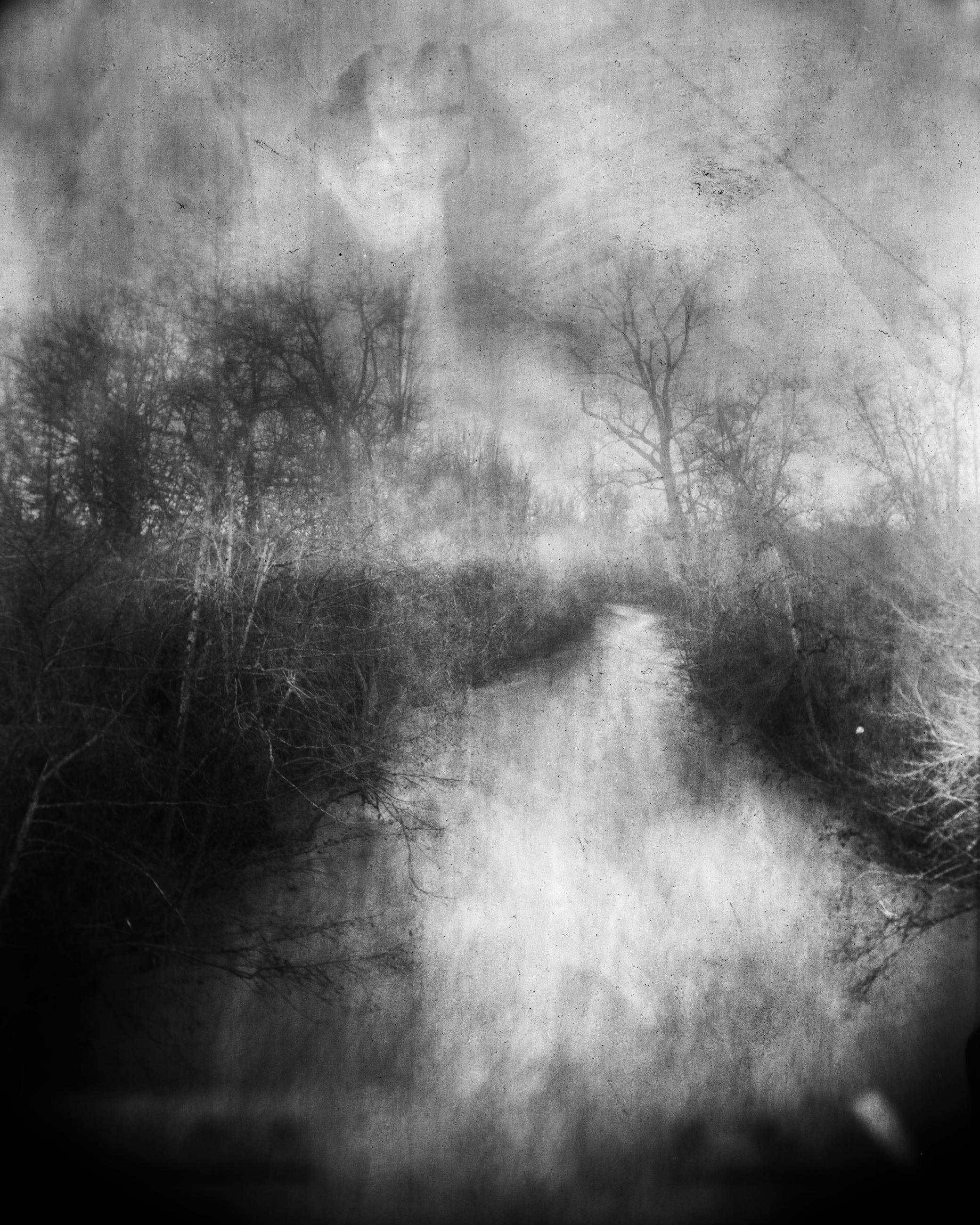 La formation des vagues - Arno Brignon