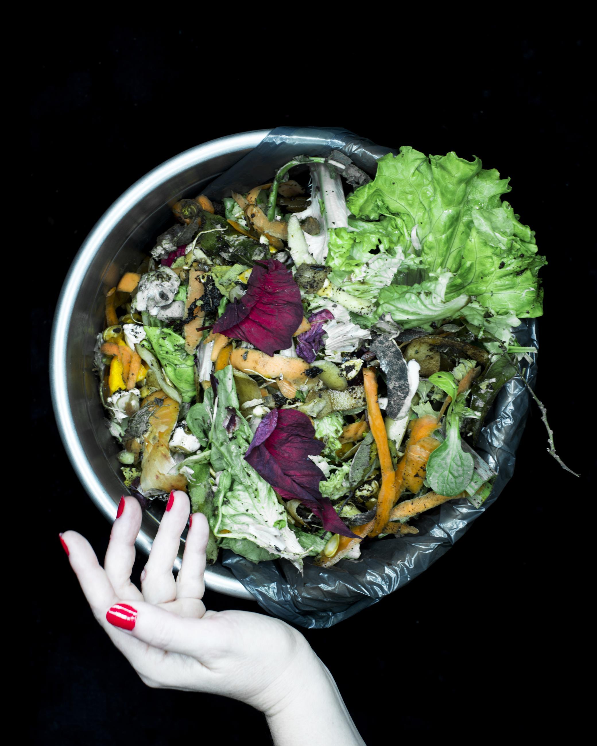 Save The Planet Joanna Tarlet Gauteur