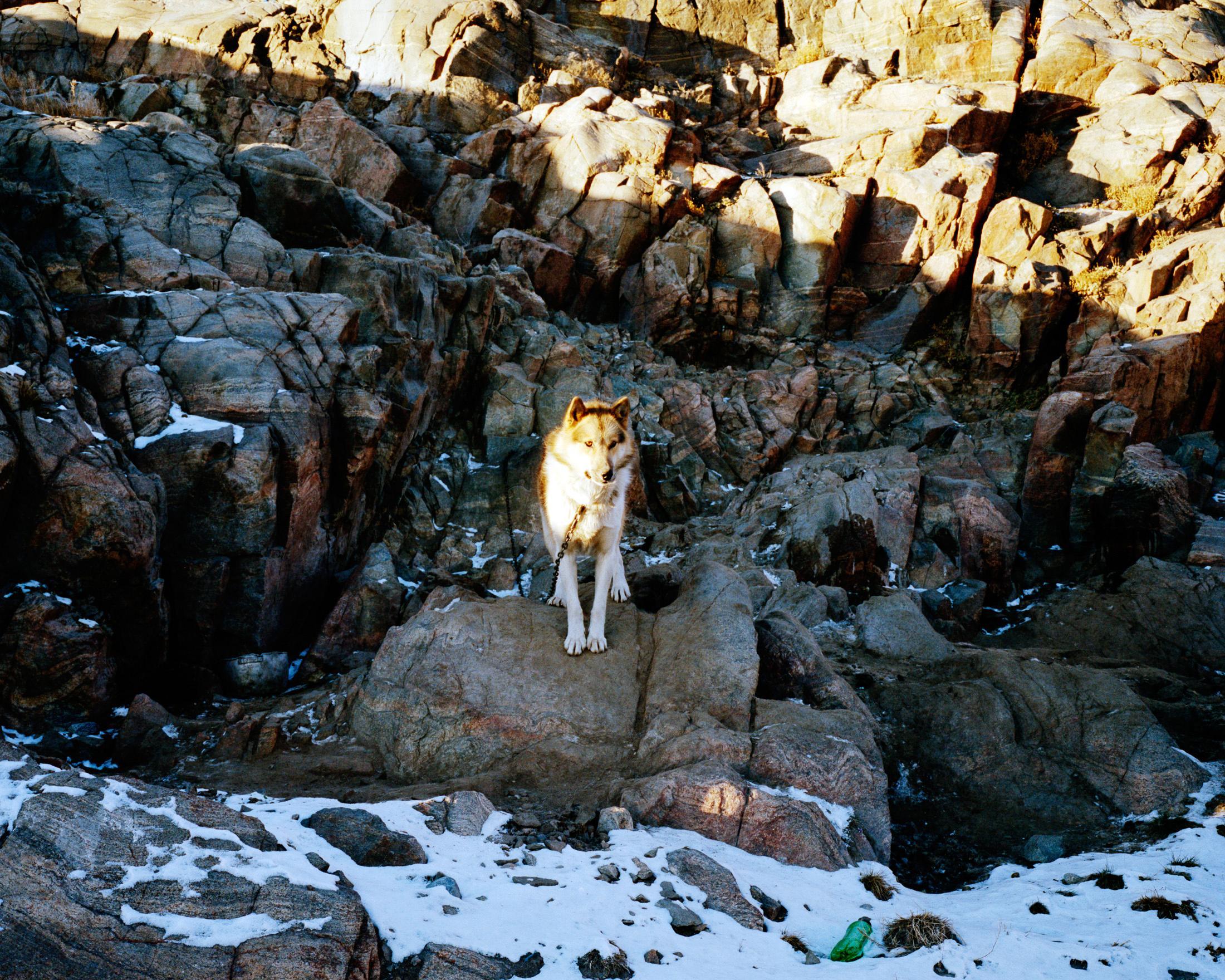 Jérémie Jung - Whiteland - Uummannaq, Groenland (Kalaallit Nunaat)