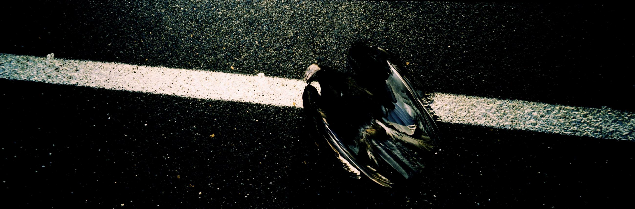 Eden Laurent Monlaü