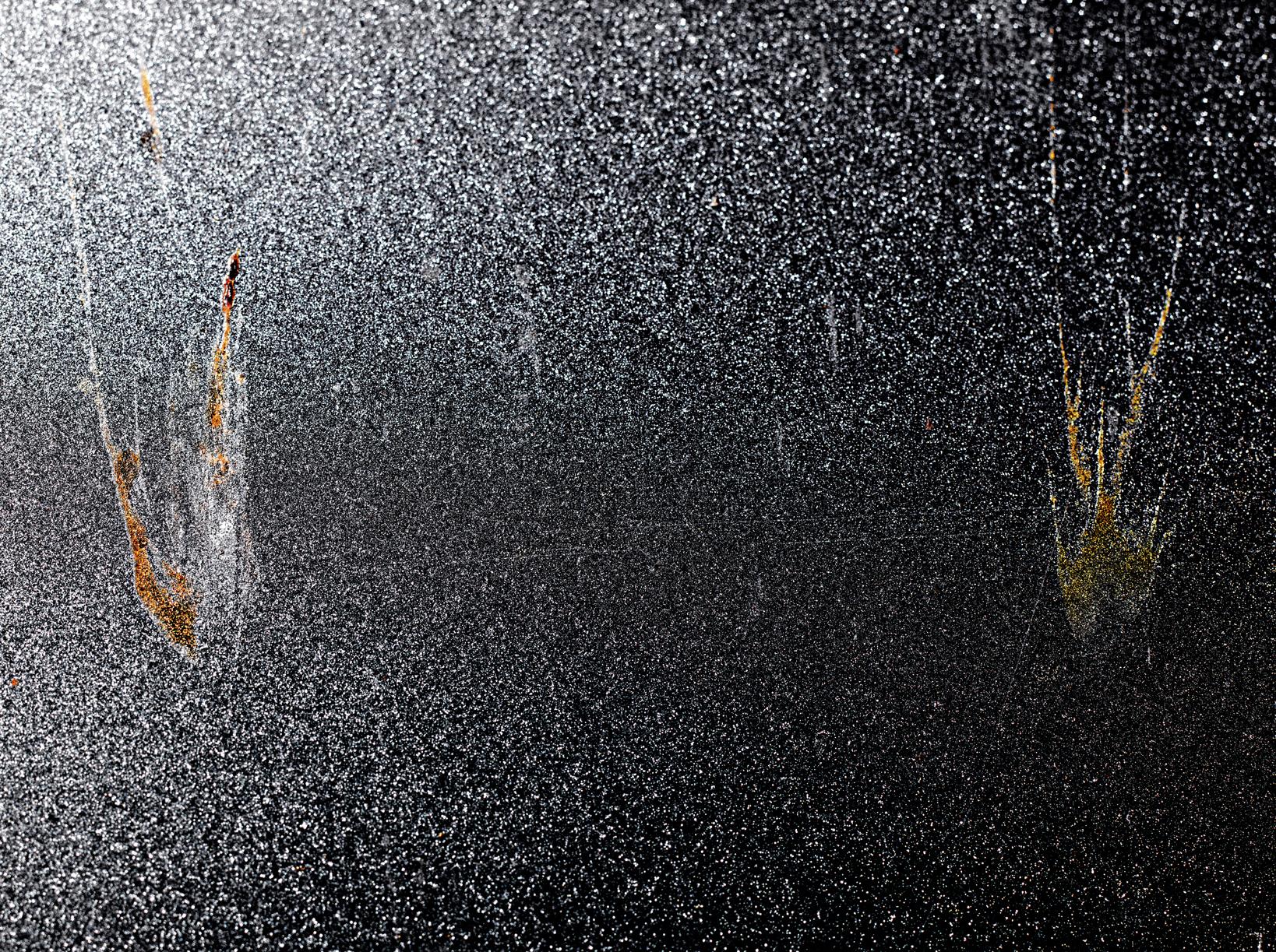 L'accident Laurent Monlaü