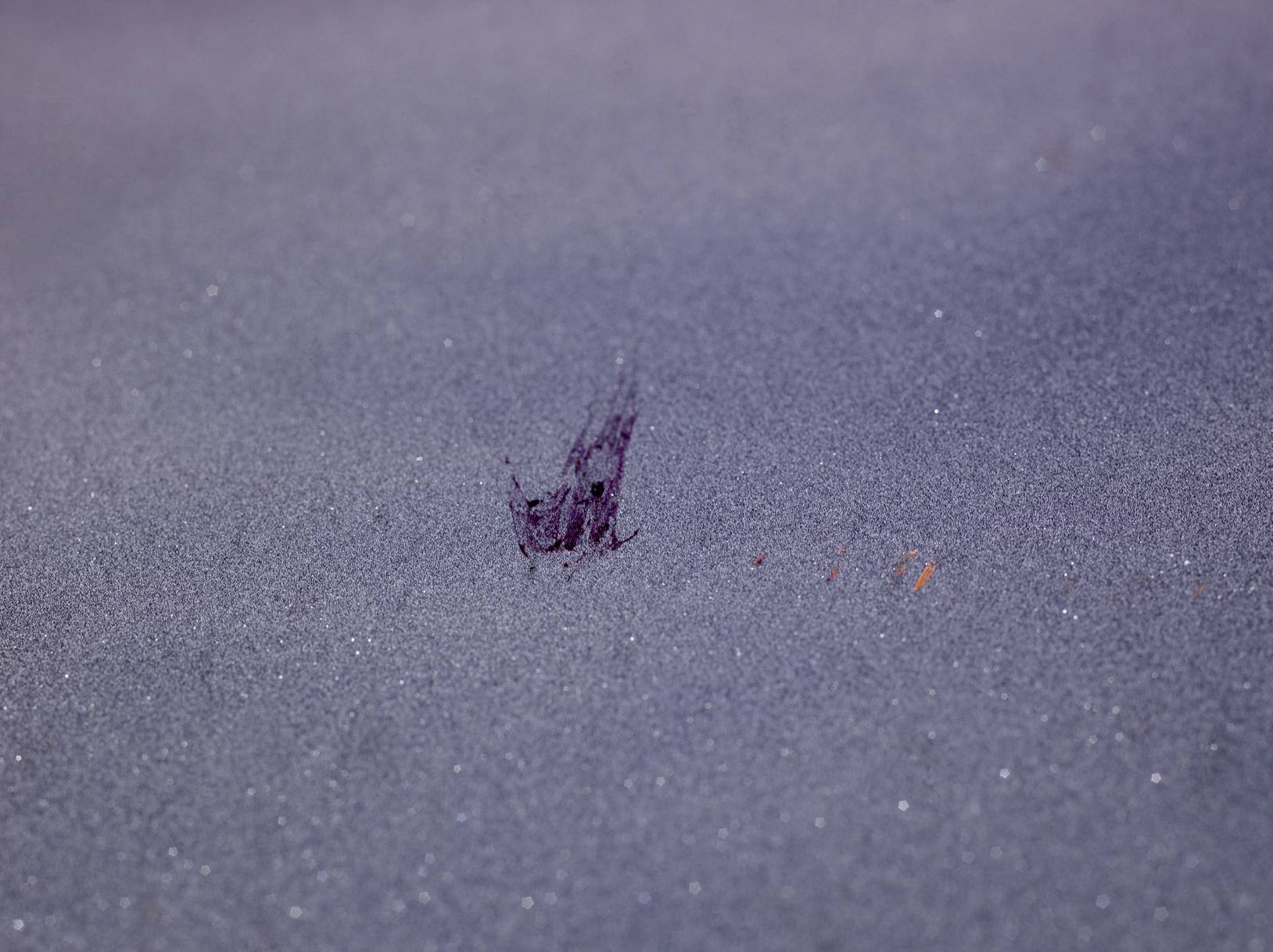 L'accident Laurent Monlaü