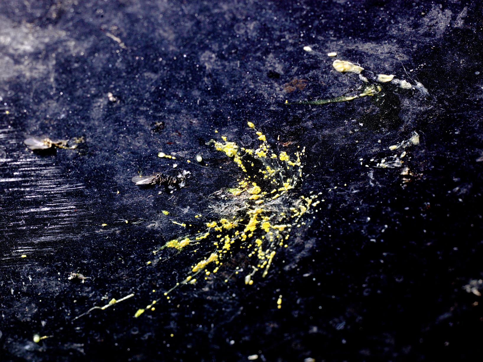 L'accident Laurent Monlaü