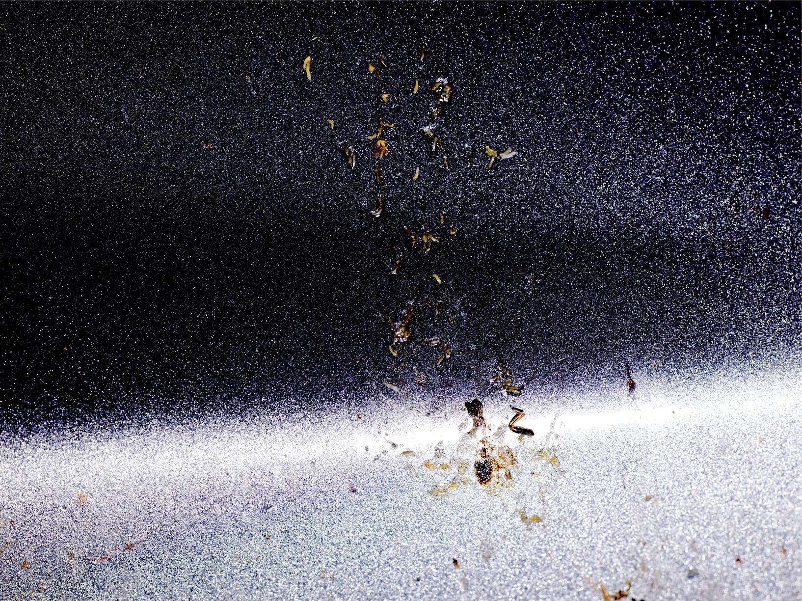 L'accident Laurent Monlaü