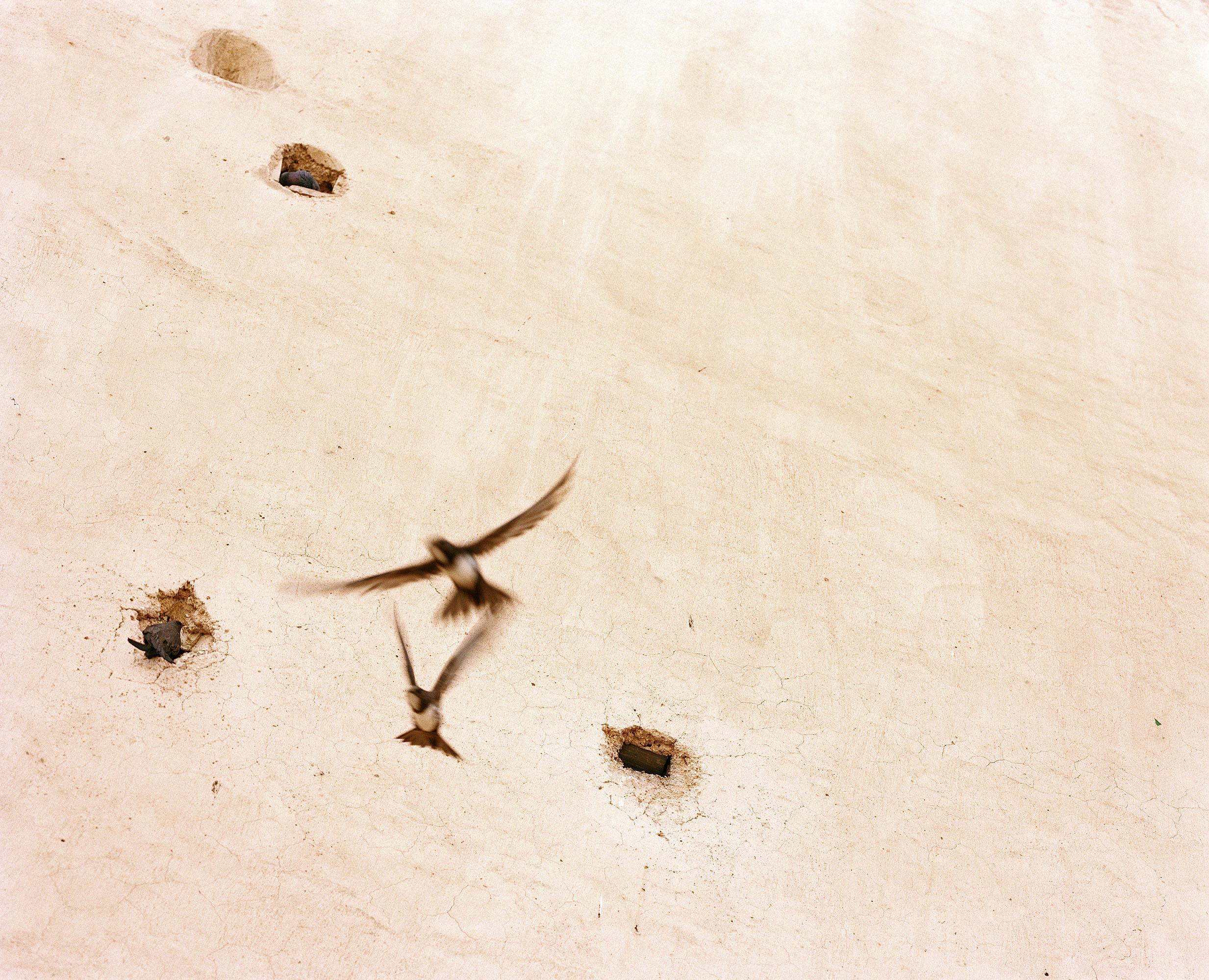 Tout n'est pas si rose Mélanie Bahuon