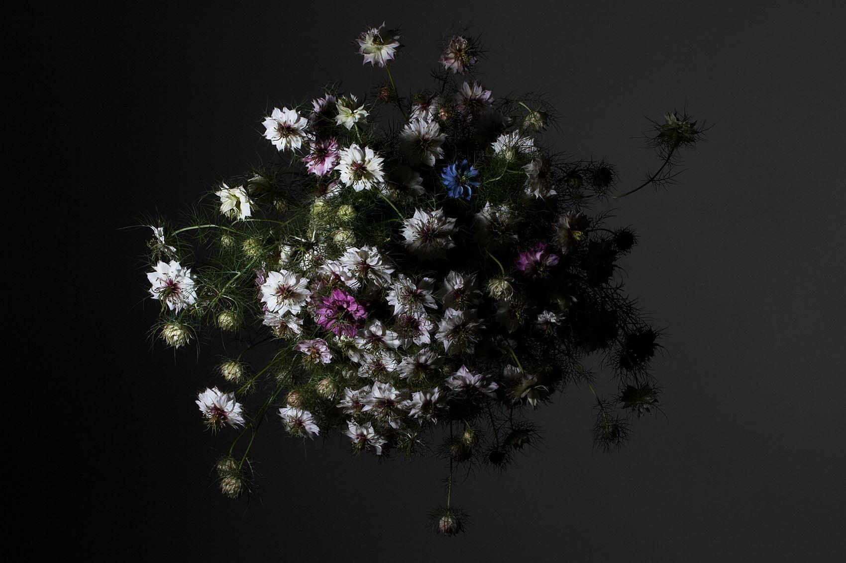 Still Life Mélanie Bahuon