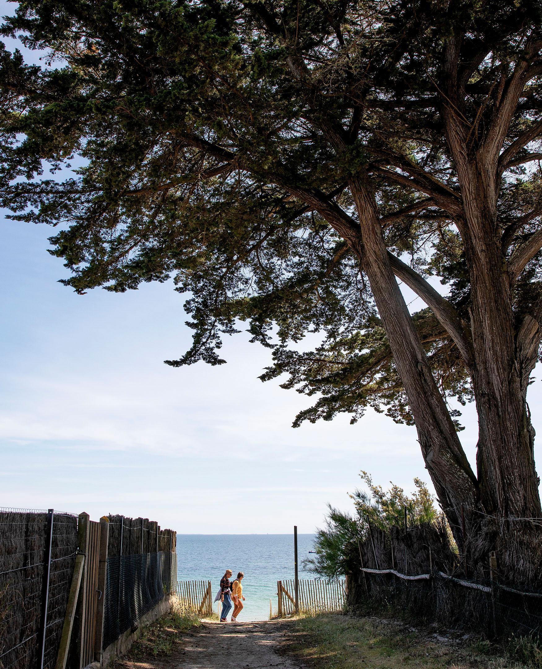 Horizon éloigné Mélanie Bahuon