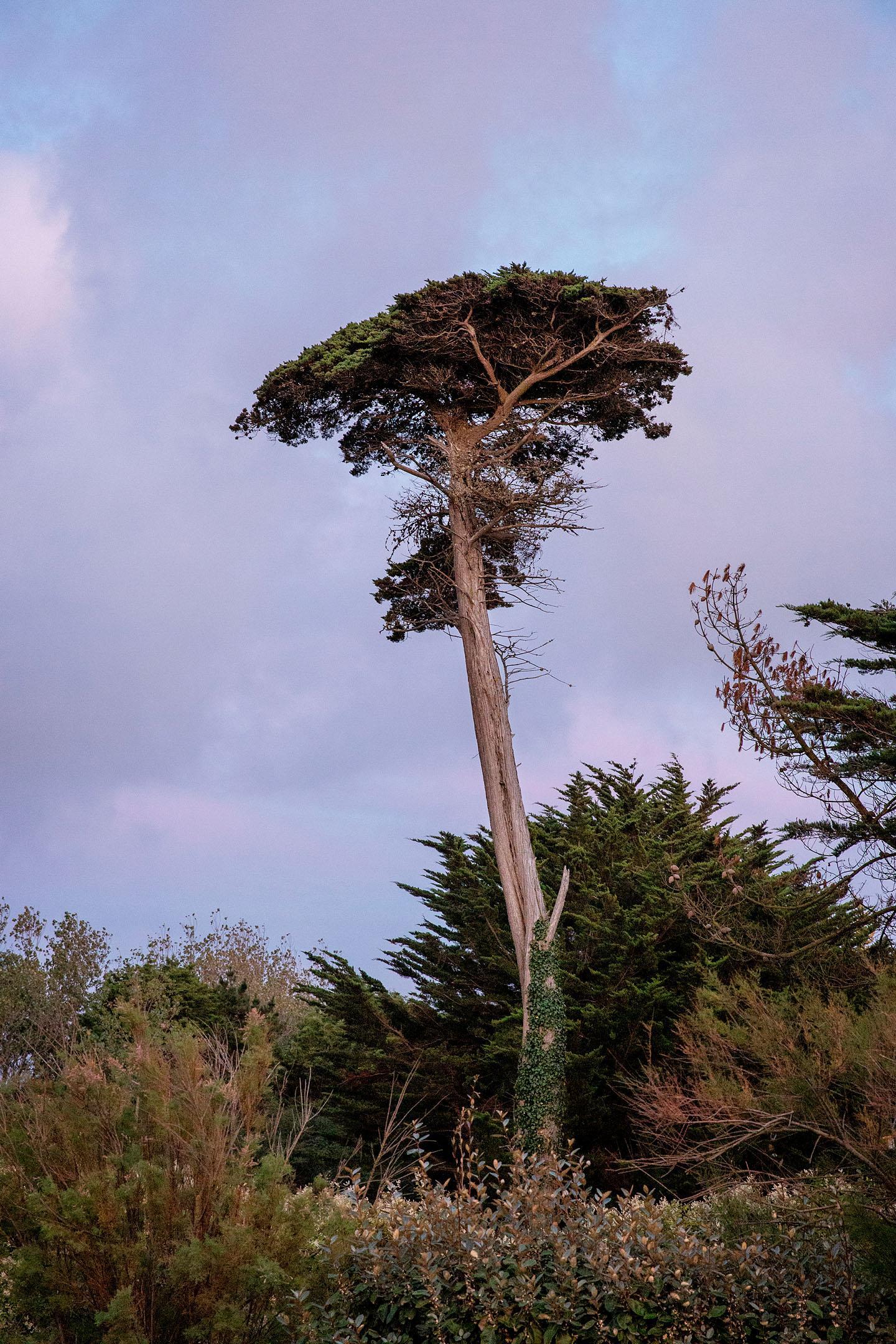 A contre-courant Mélanie Bahuon