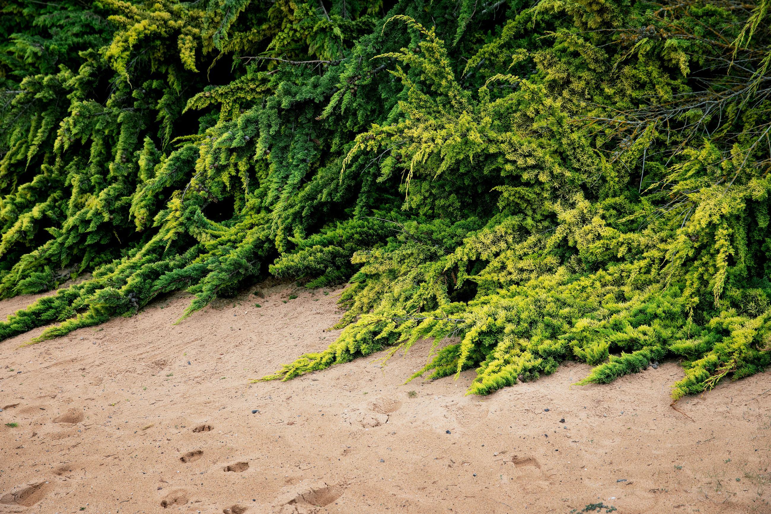 A contre-courant Mélanie Bahuon