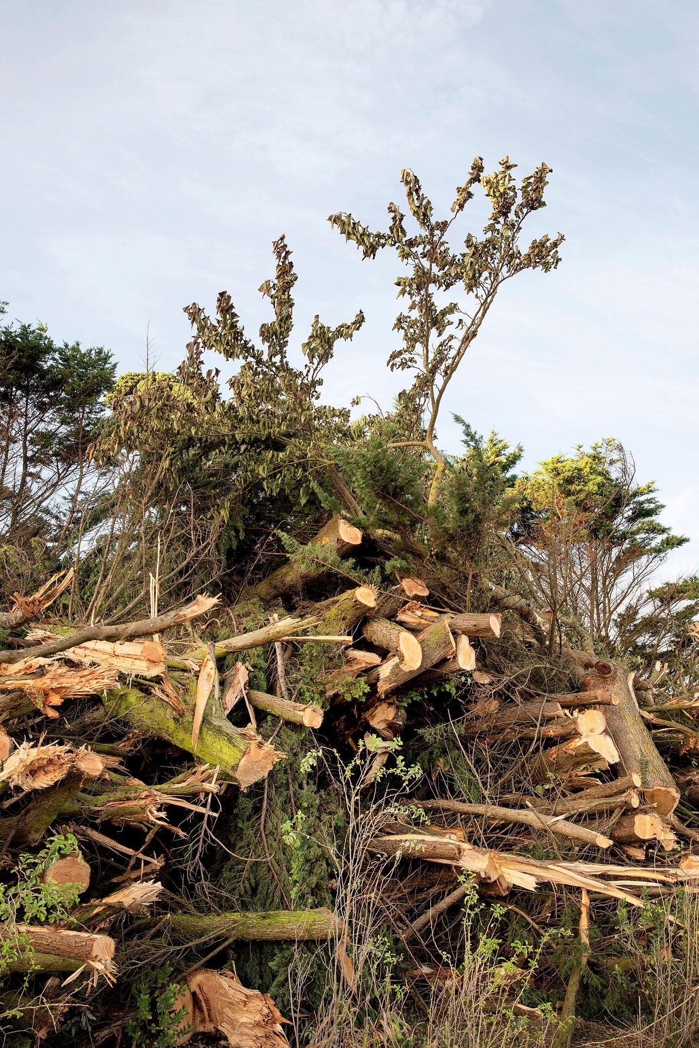 A contre-courant Mélanie Bahuon