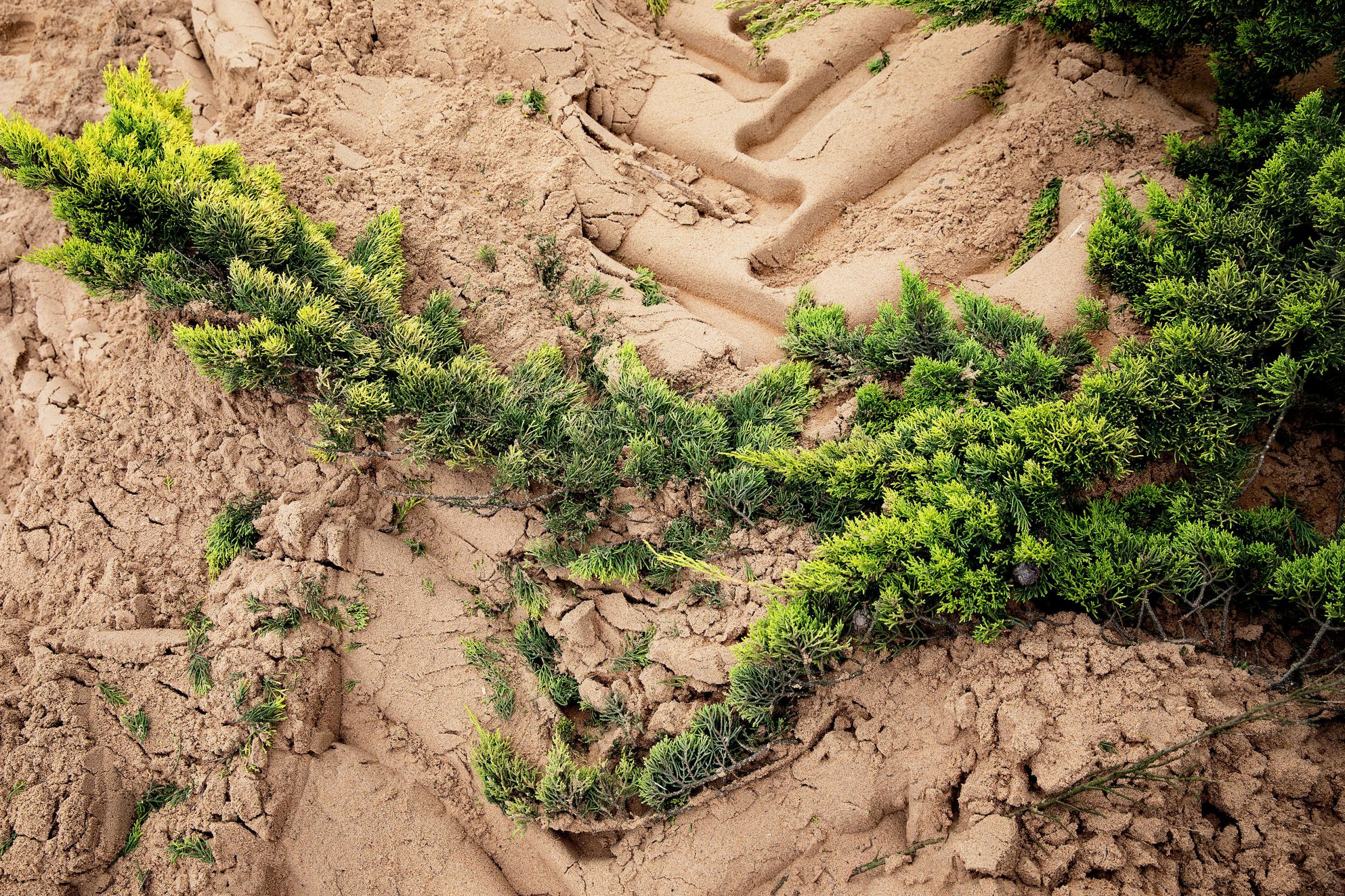 A contre-courant Mélanie Bahuon