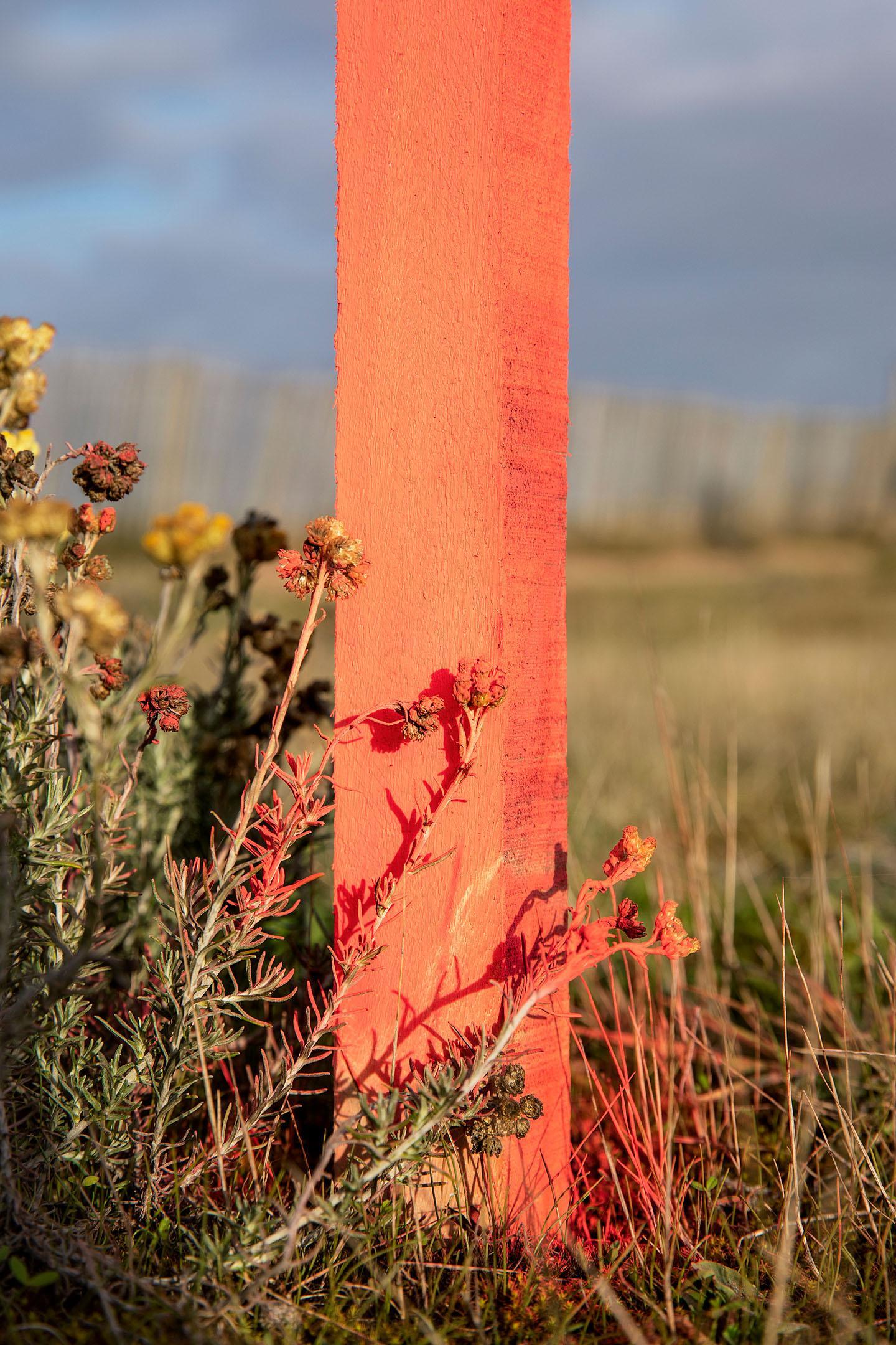 A contre-courant Mélanie Bahuon