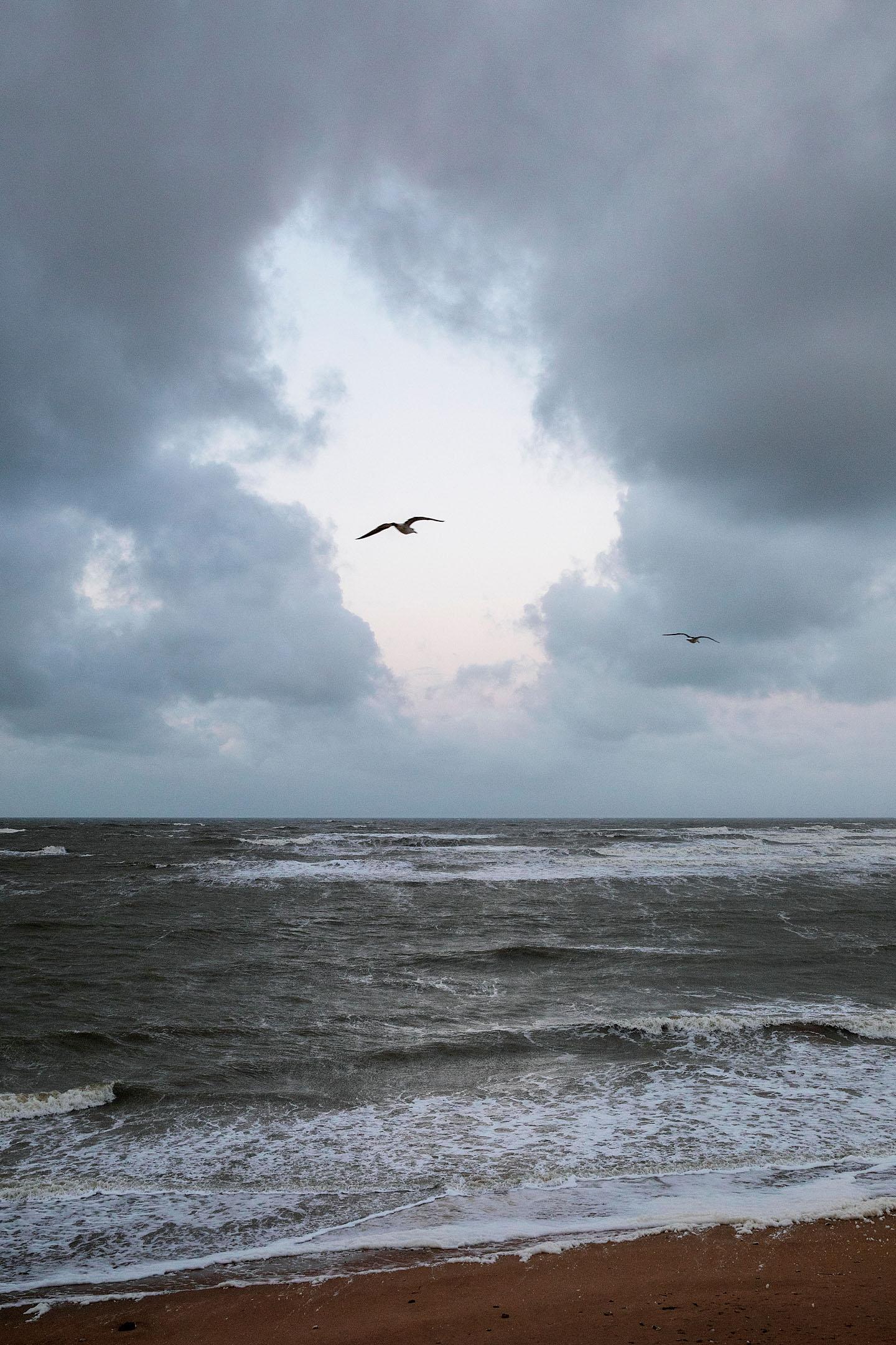 A contre-courant Mélanie Bahuon