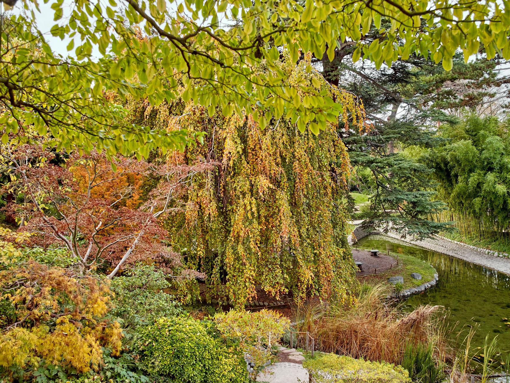 Sandrine Expilly_JARDINS DU MUSEE ALBERT KAHN