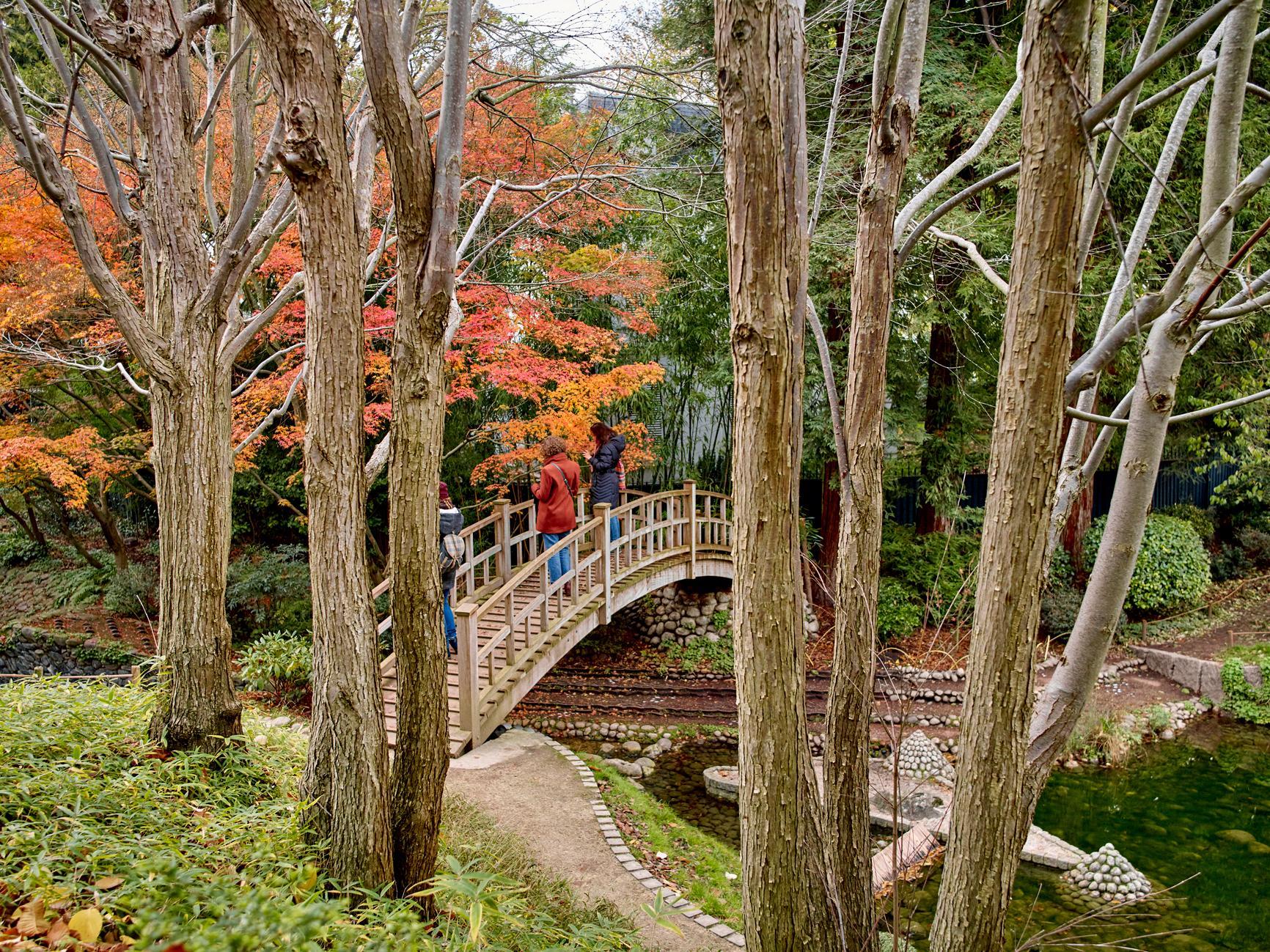 Sandrine Expilly_JARDINS DU MUSEE ALBERT KAHN