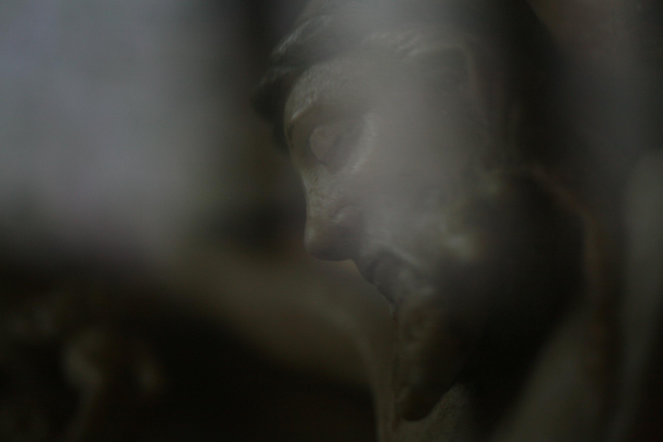 Mont Saint Michel Didier Goupy