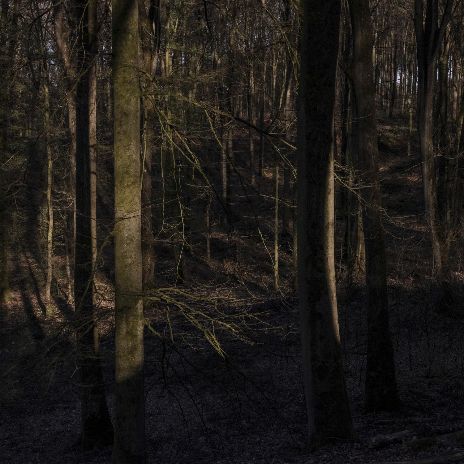 GOUPY_PROMONTOIRES DU SILENCE_010