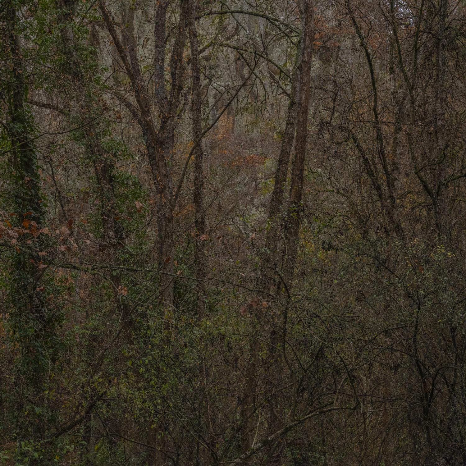 Promontoires du silence Didier Goupy