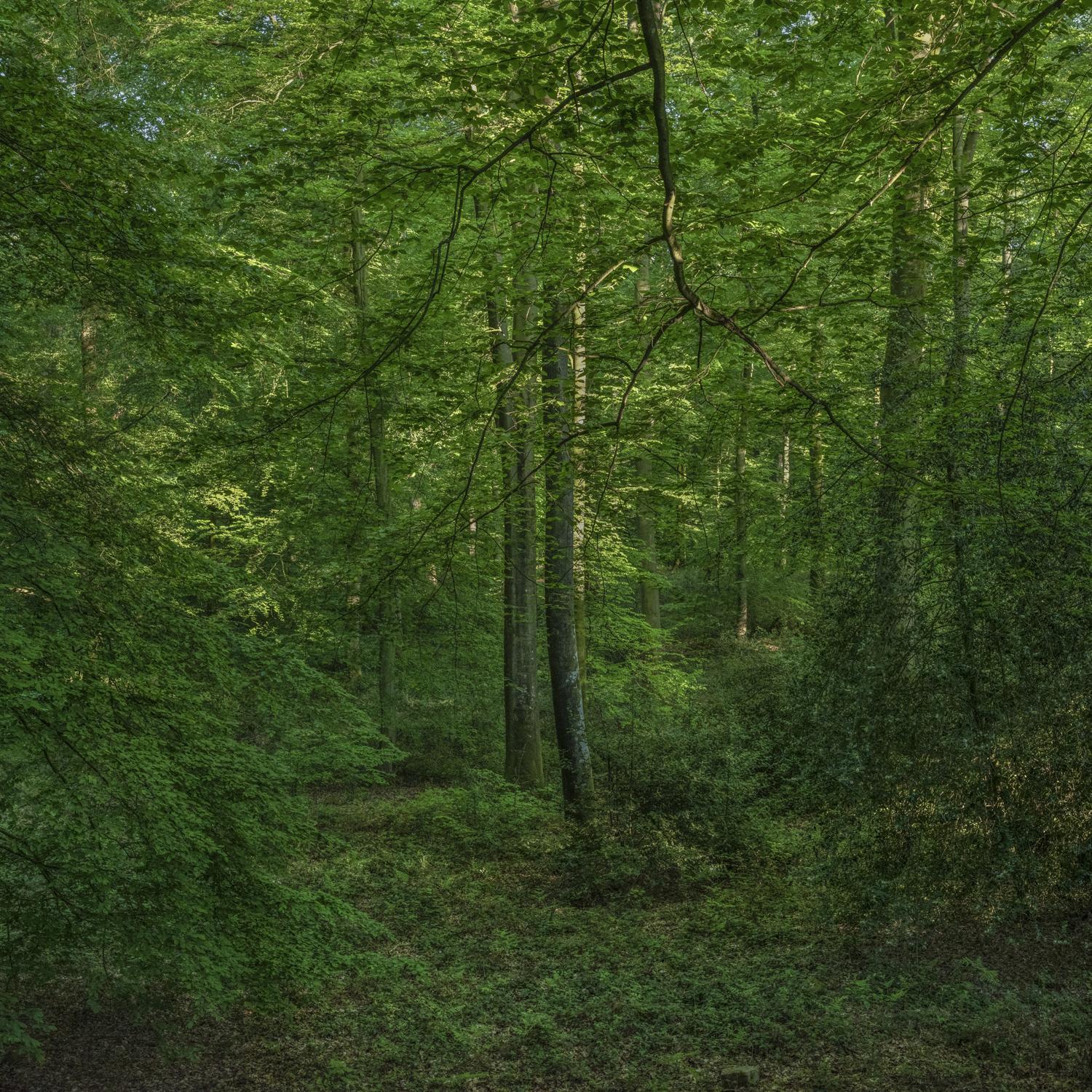 Promontoires du silence Didier Goupy